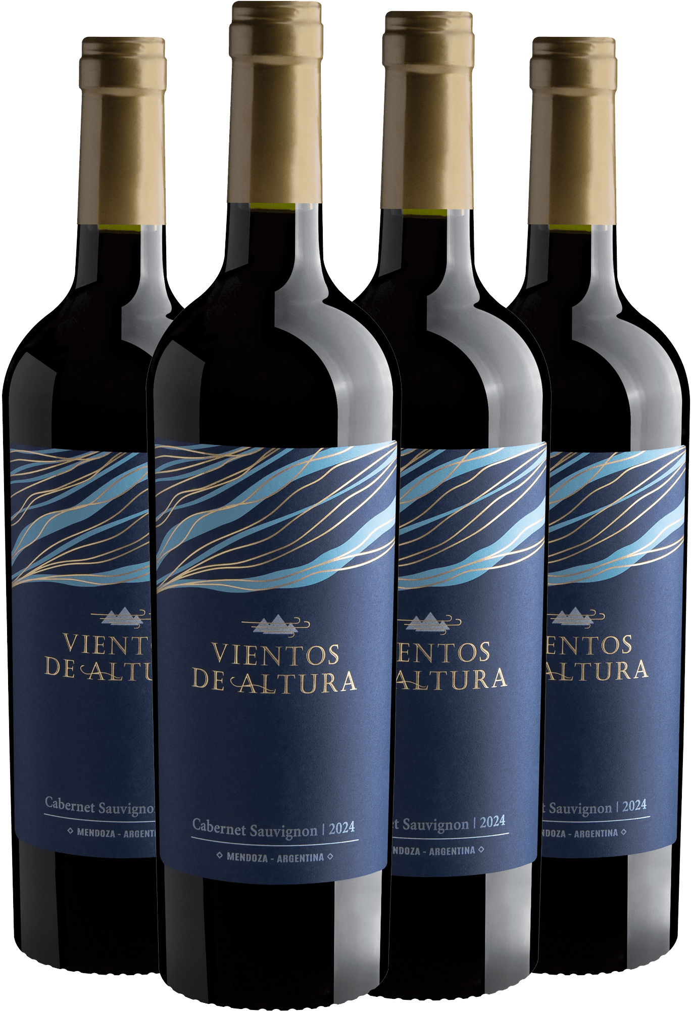 Kit 4 Vientos de Altura Cabernet Sauvignon