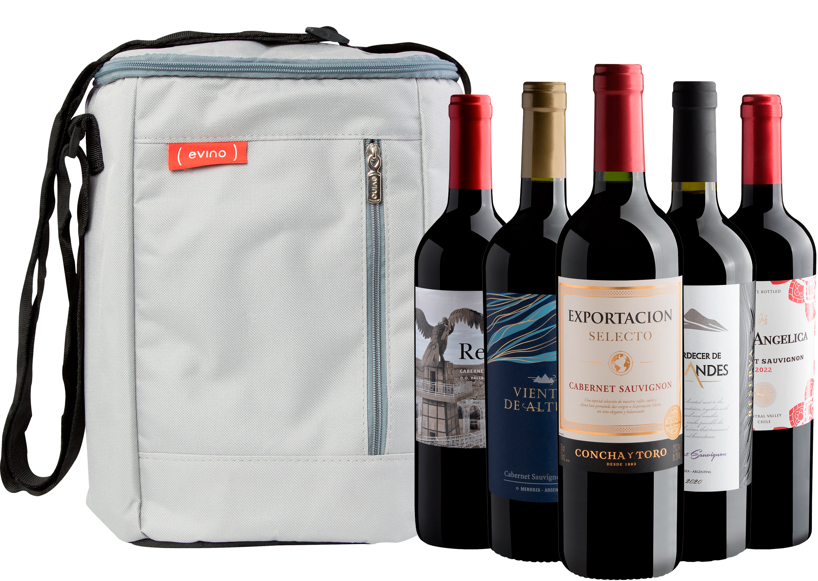 Kit 5 Cabernets Sauvignons Best Sellers + Bolsa Térmica