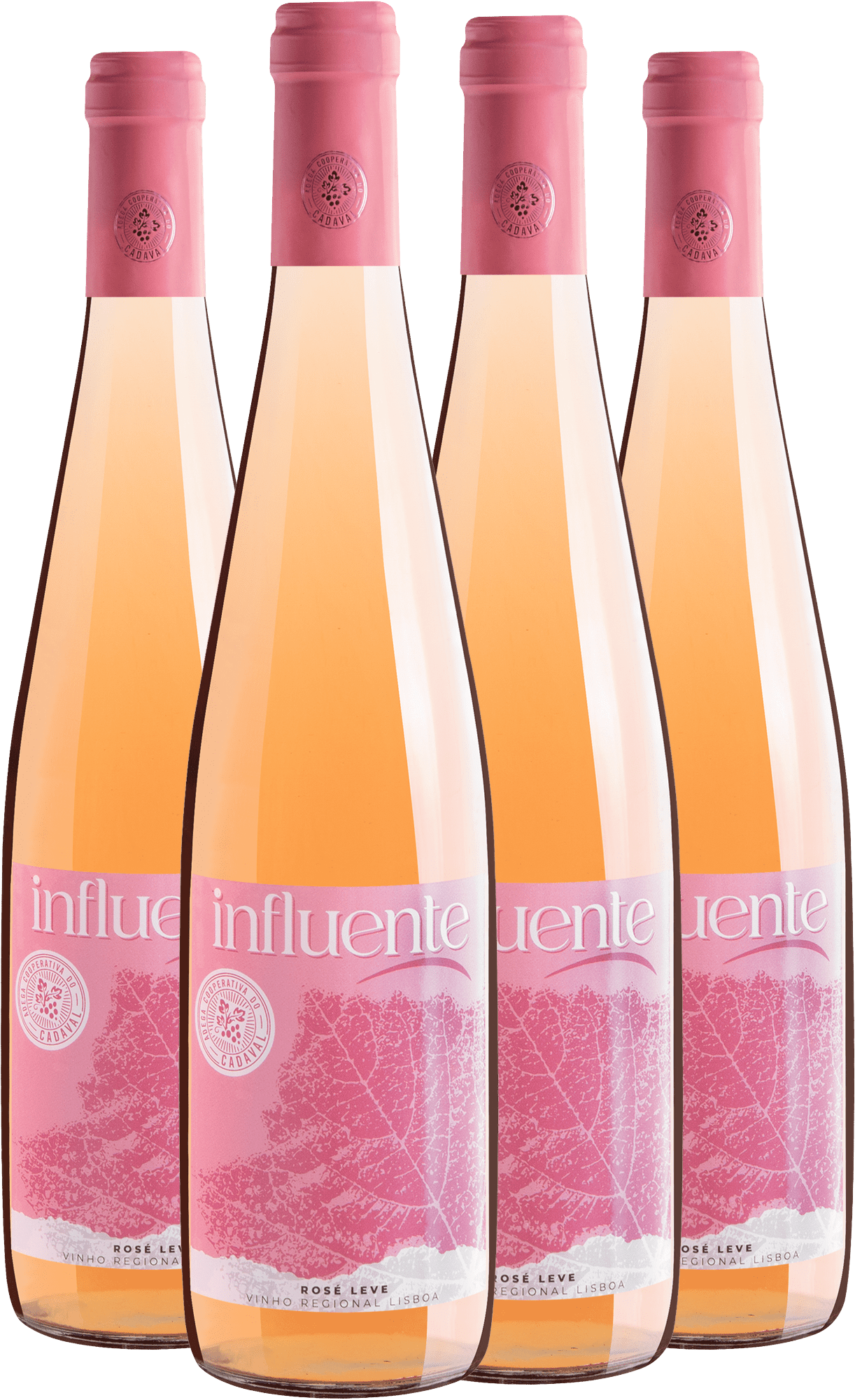 Kit 4 Influente Rosé Vinho Regional Lisboa