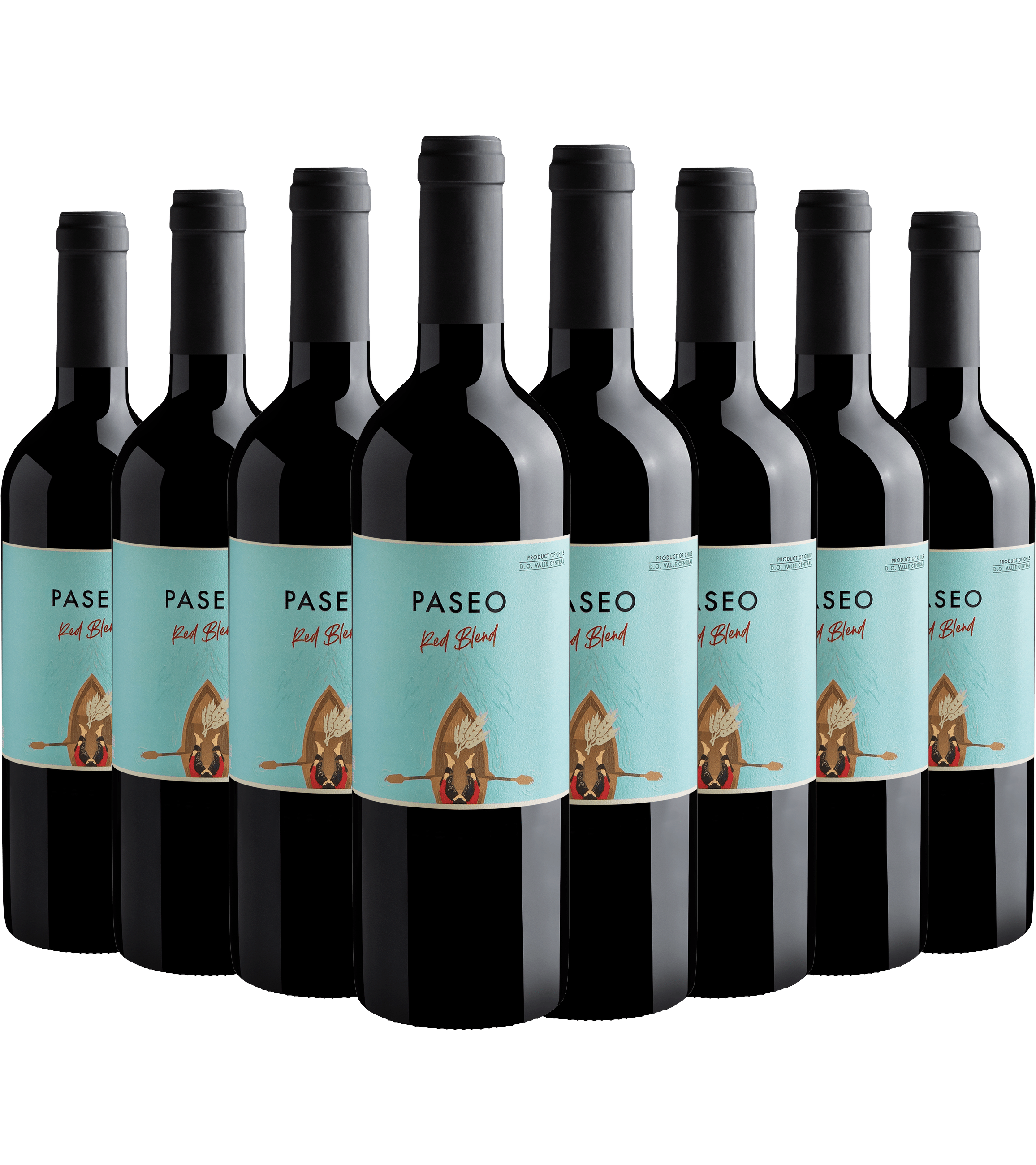 Kit 8 Paseo Red Blend Valle Central D.O. *