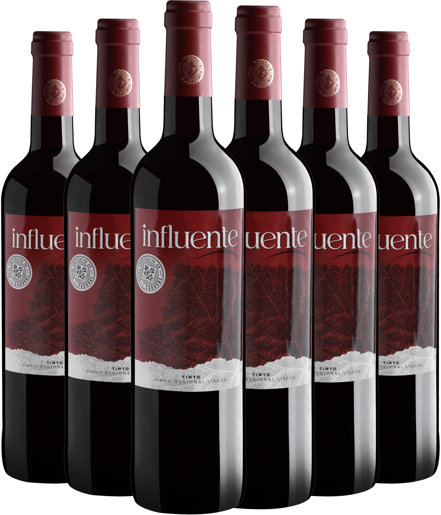 Kit 6 Influente Tinto Vinho Regional Lisboa