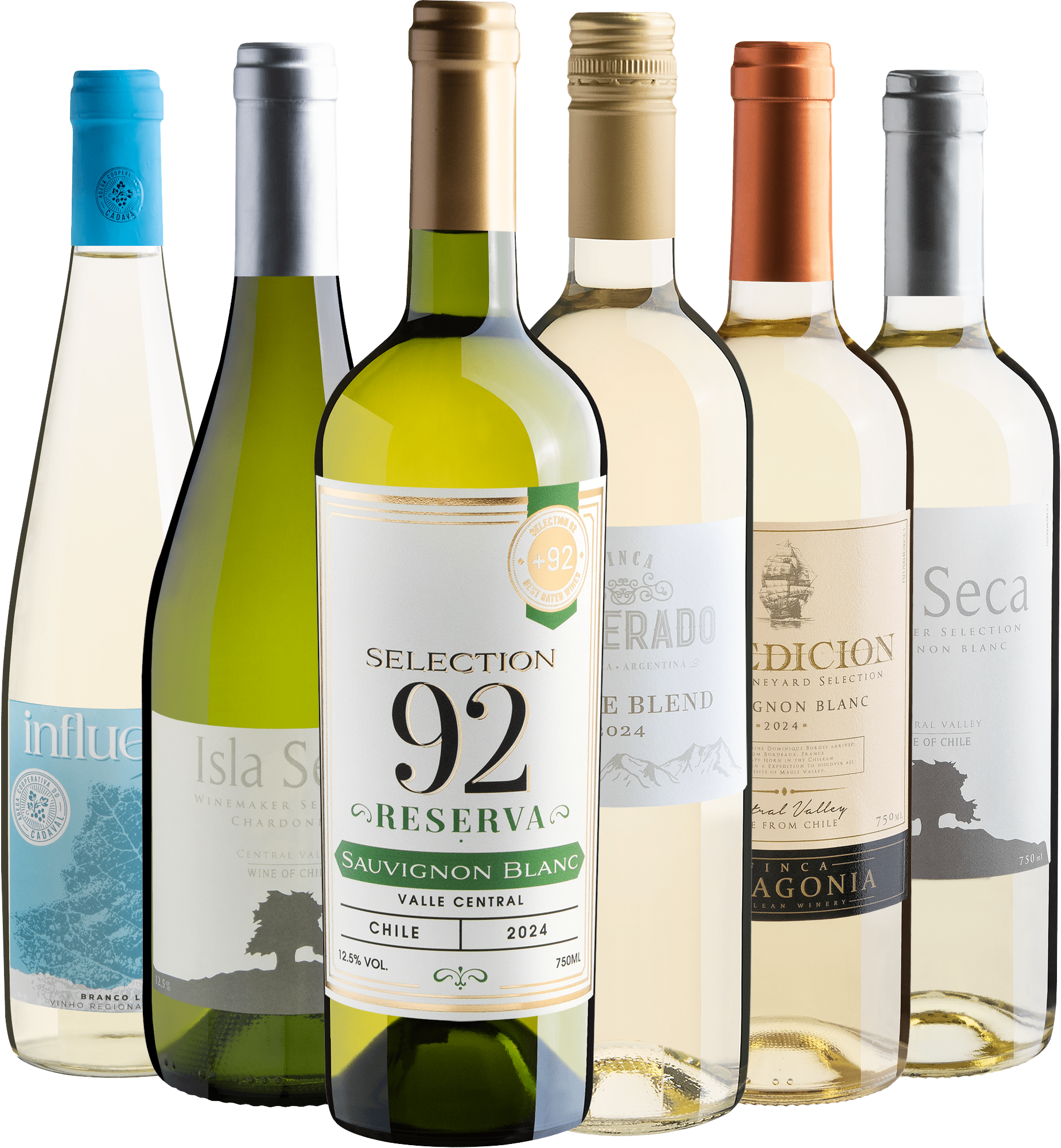 Kit 6 Vinhos Brancos