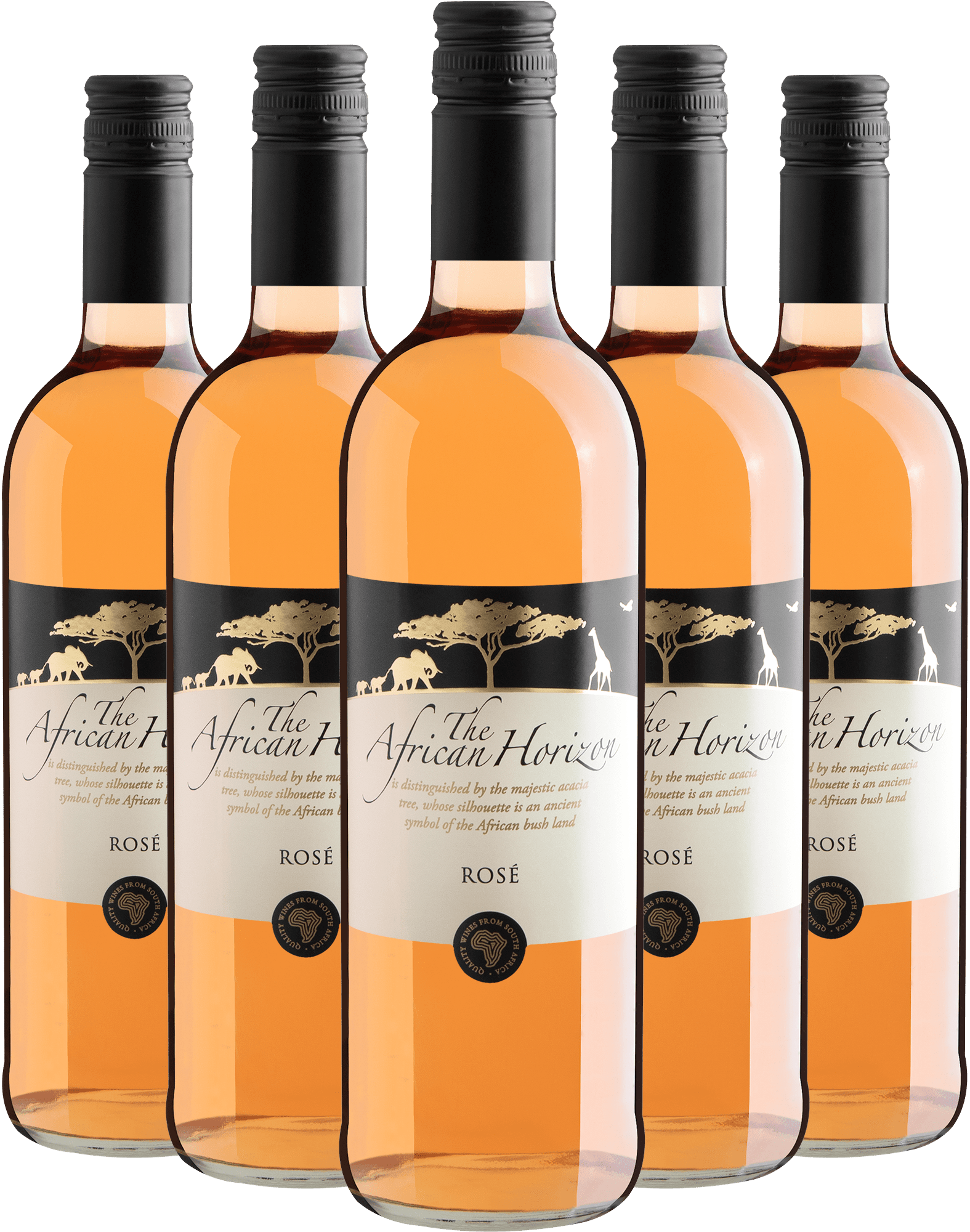 Kit 5 The African Horizon Rosé Western Cape W.O. + Frete Grátis*