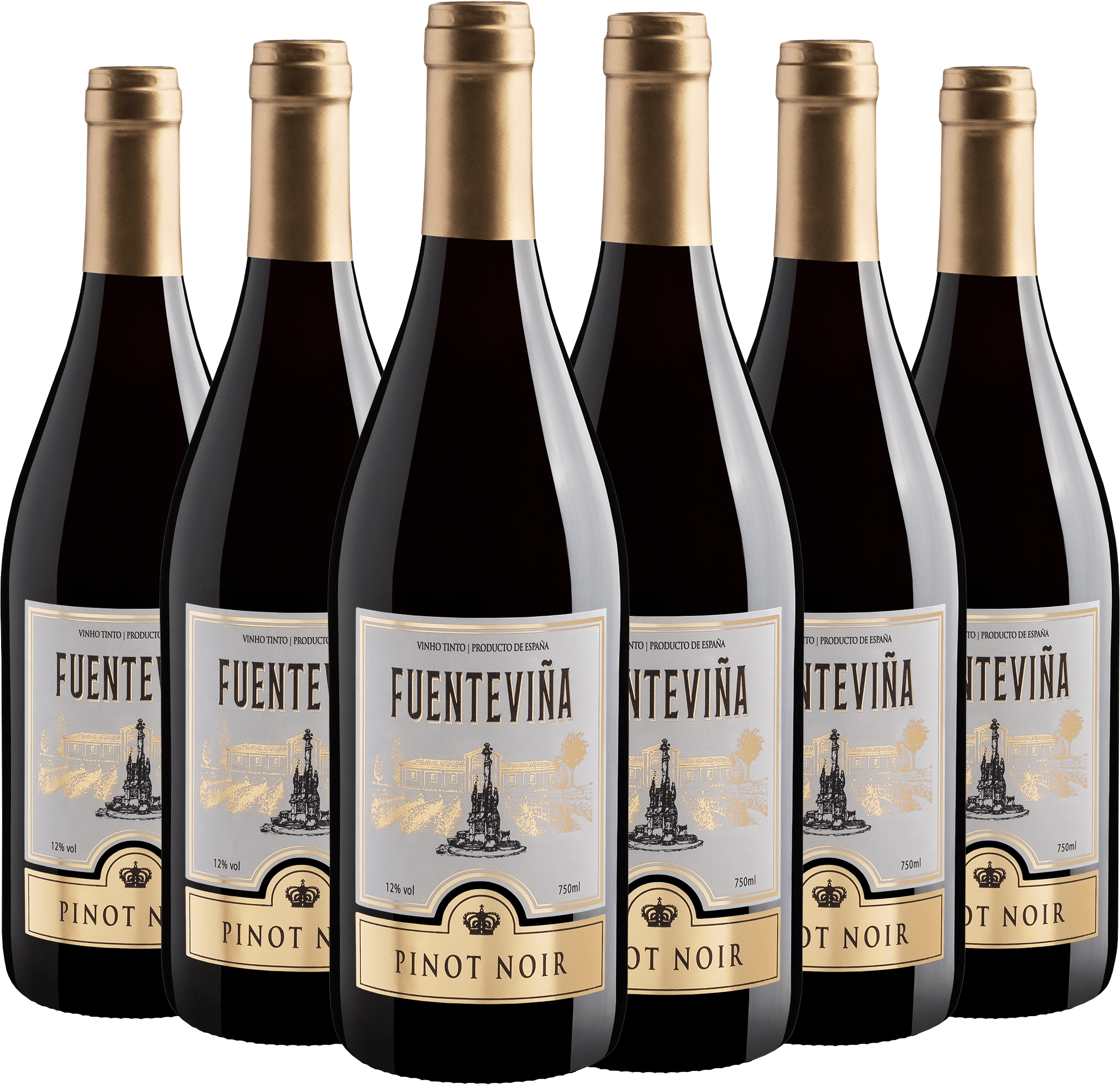 Kit 6 Fuenteviña Pinot Noir