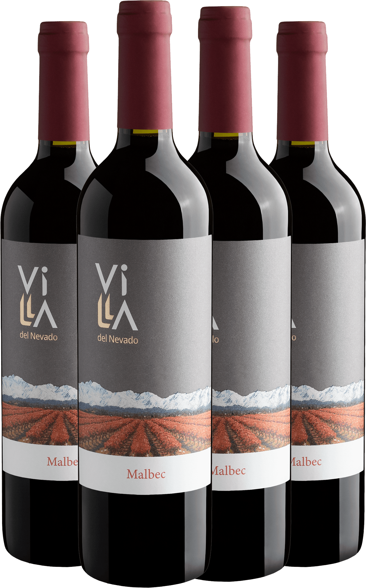Kit 4 Villa del Nevado Malbec