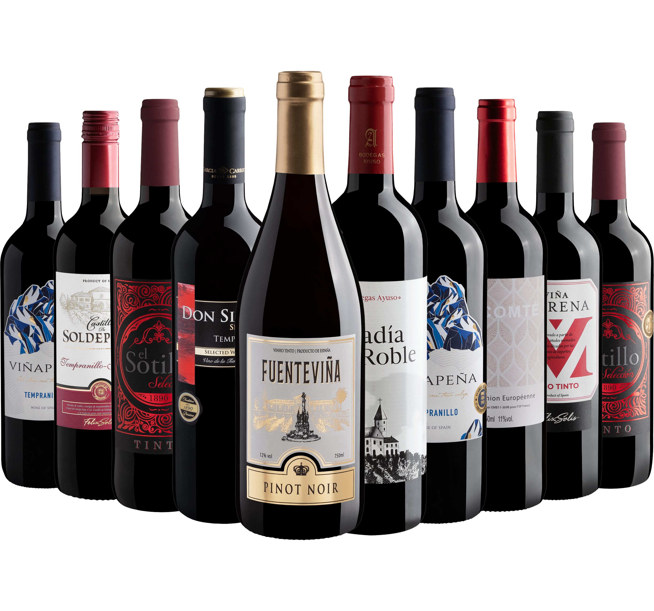 Kit 10 Vinhos do Velho Mundo*