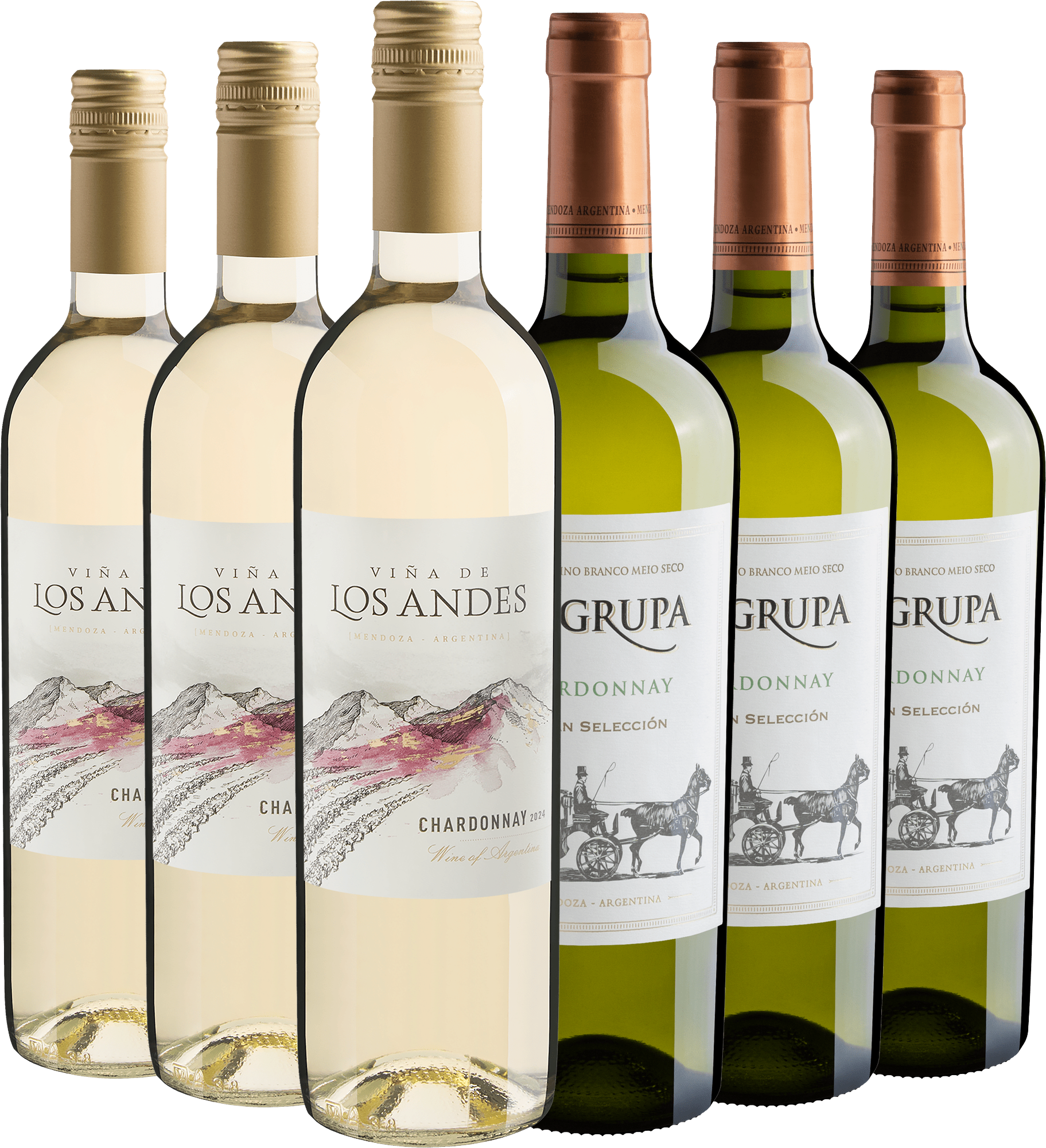 Kit 6 Chardonnays por R$29,90 cada garrafa