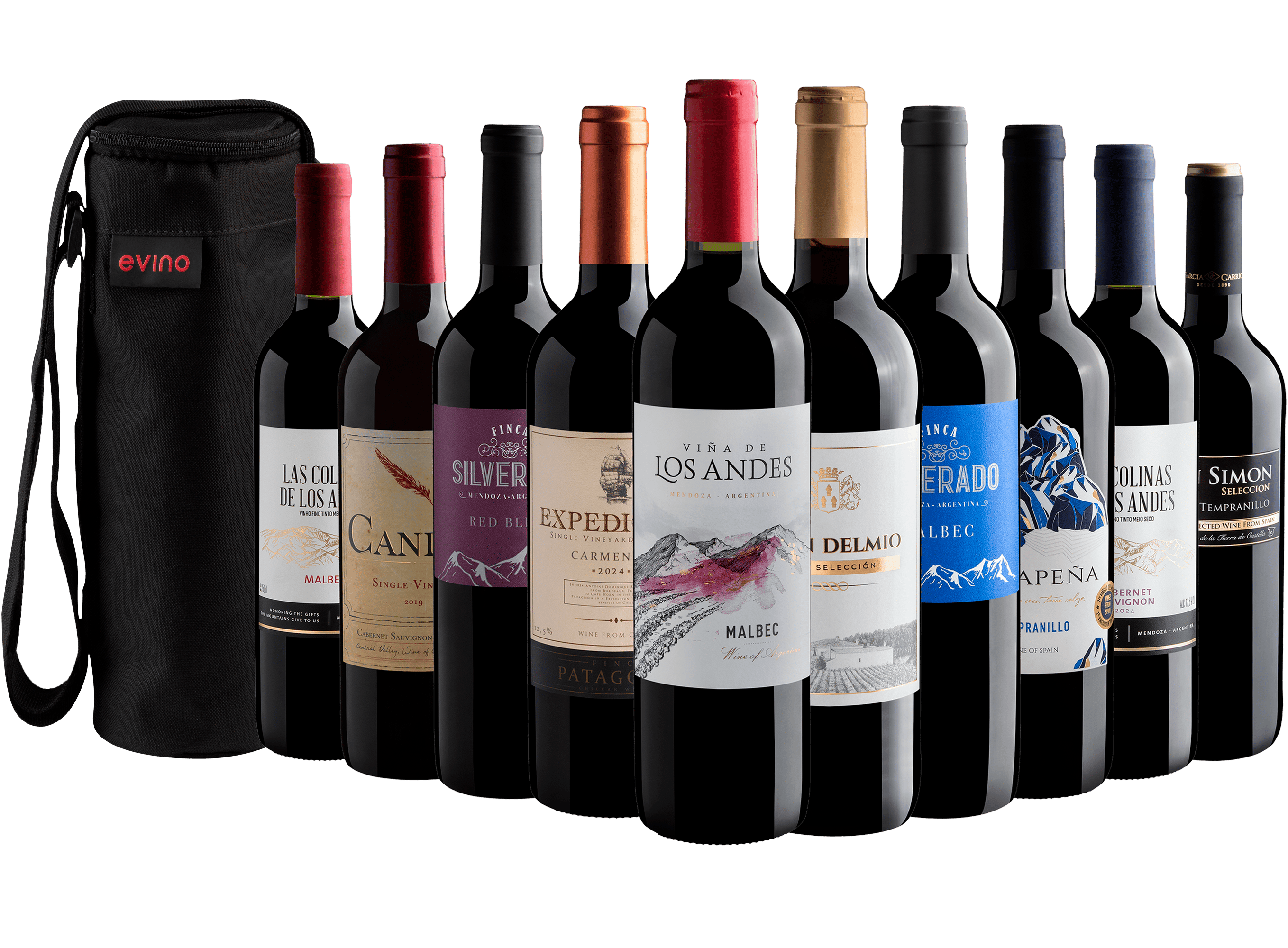 Kit 10 Vinhos Tintos + Bolsa Exclusiva Grátis