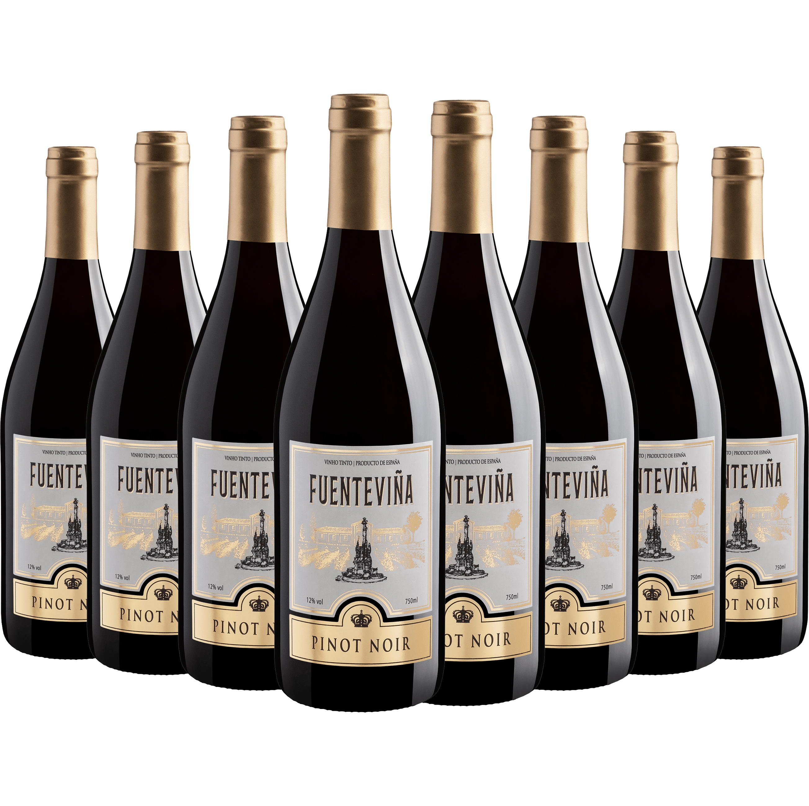 Kit 8 Fuenteviña Pinot Noir