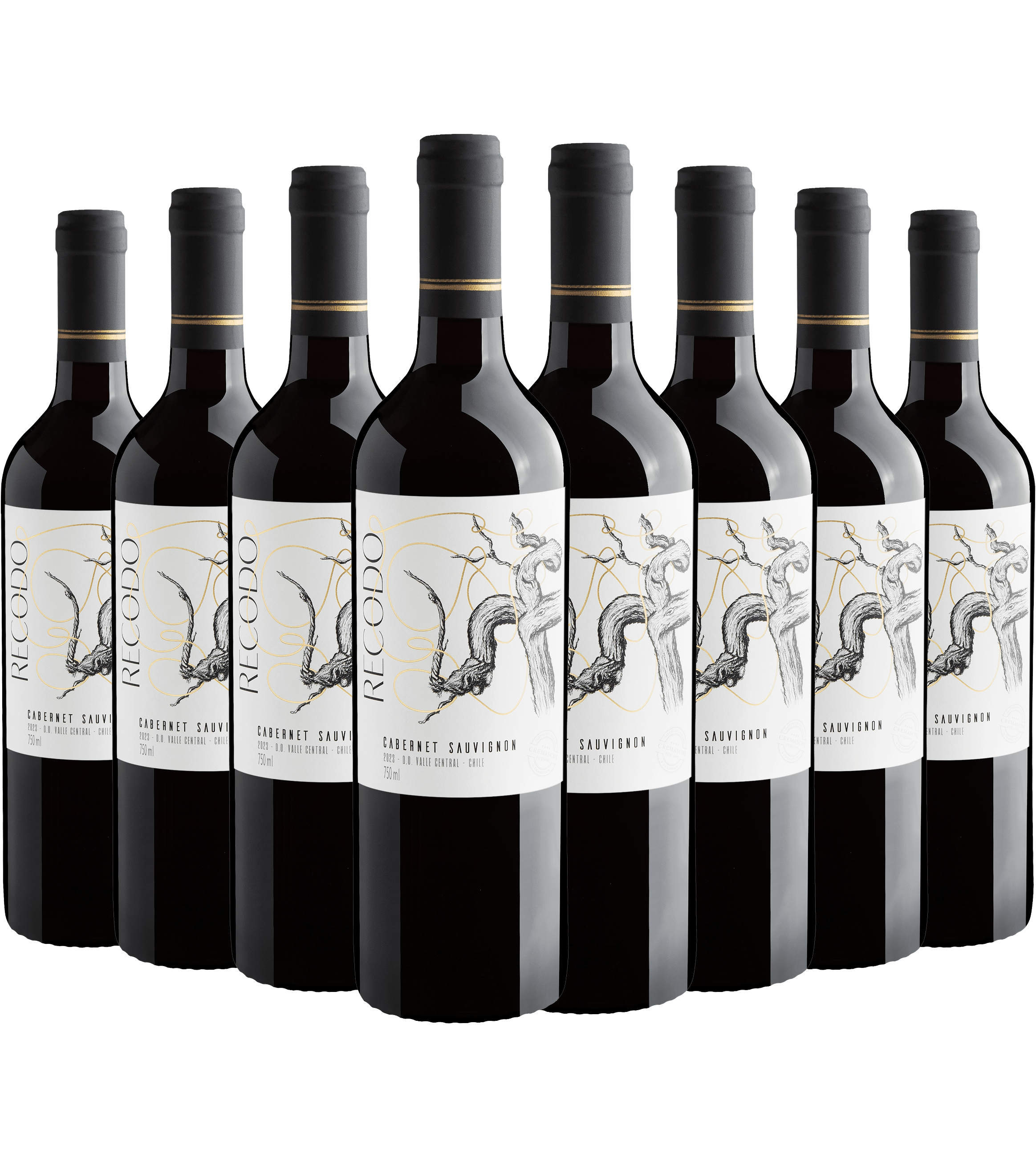 Kit 8 Recodo Cabernet Sauvignon Valle Central D.O.