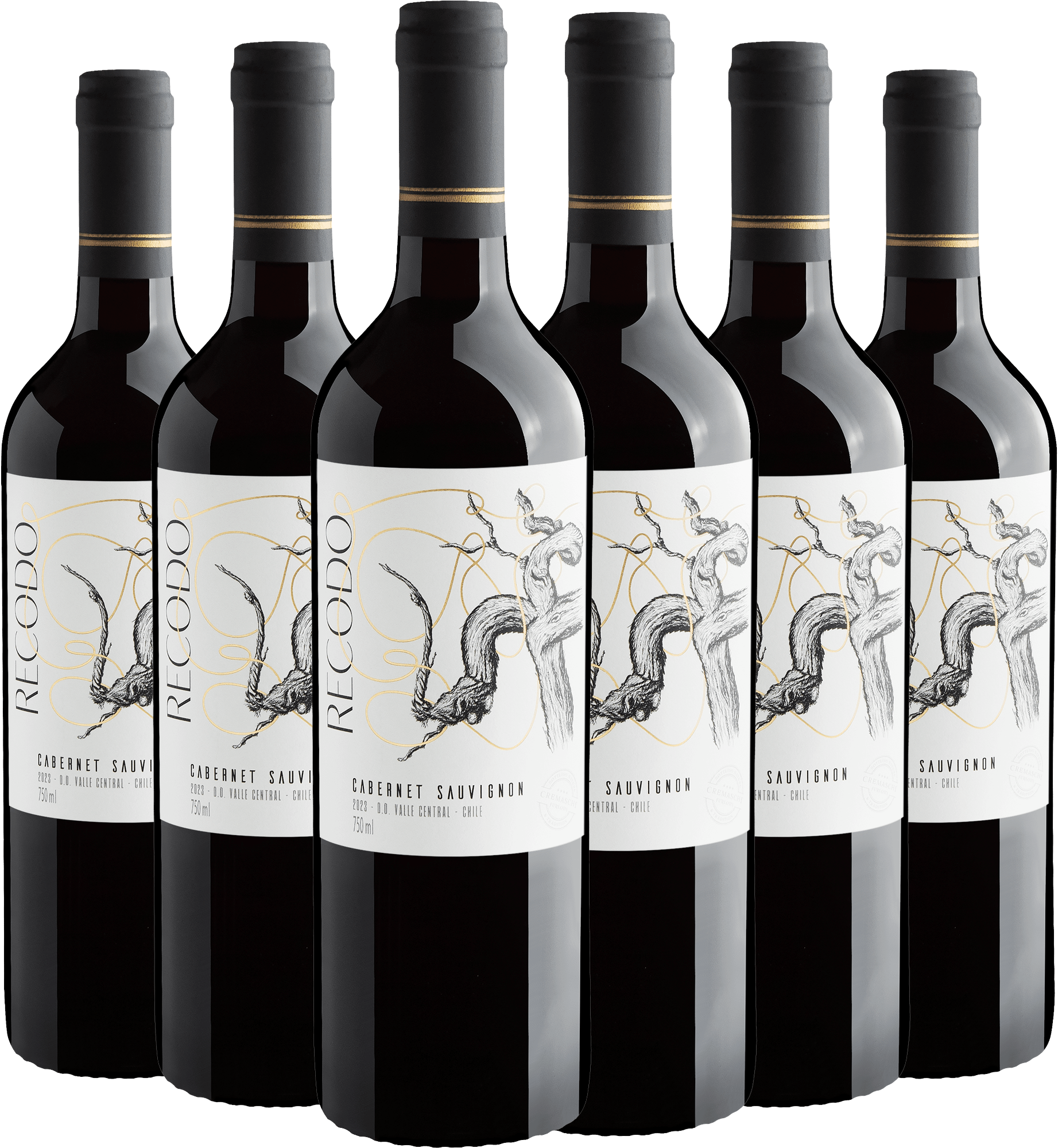 Kit 6 Recodo Cabernet Sauvignon Valle Central D.O.