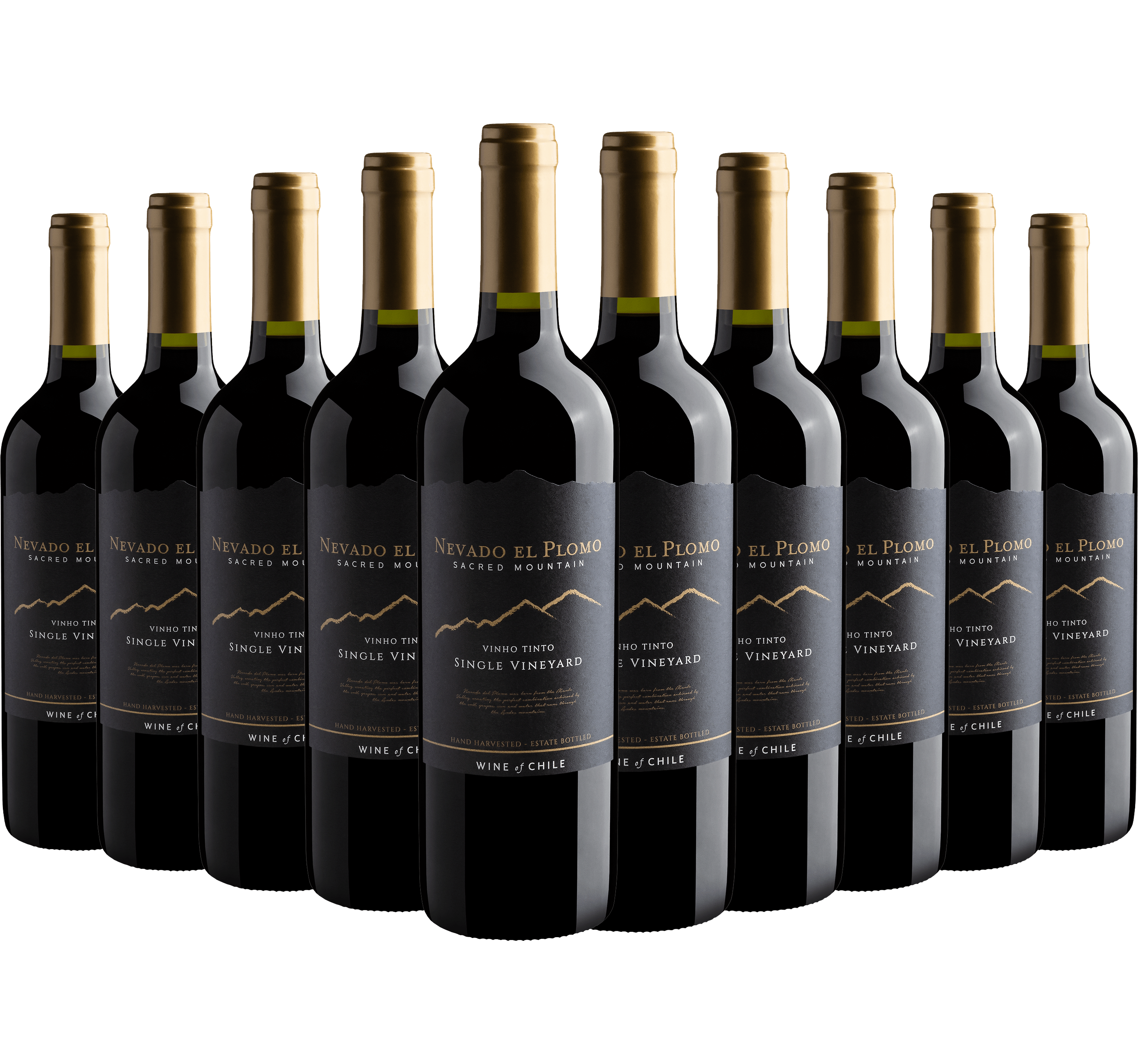 Kit 10 Nevado El Plomo Sacred Mountain Single Vineyard Tinto
