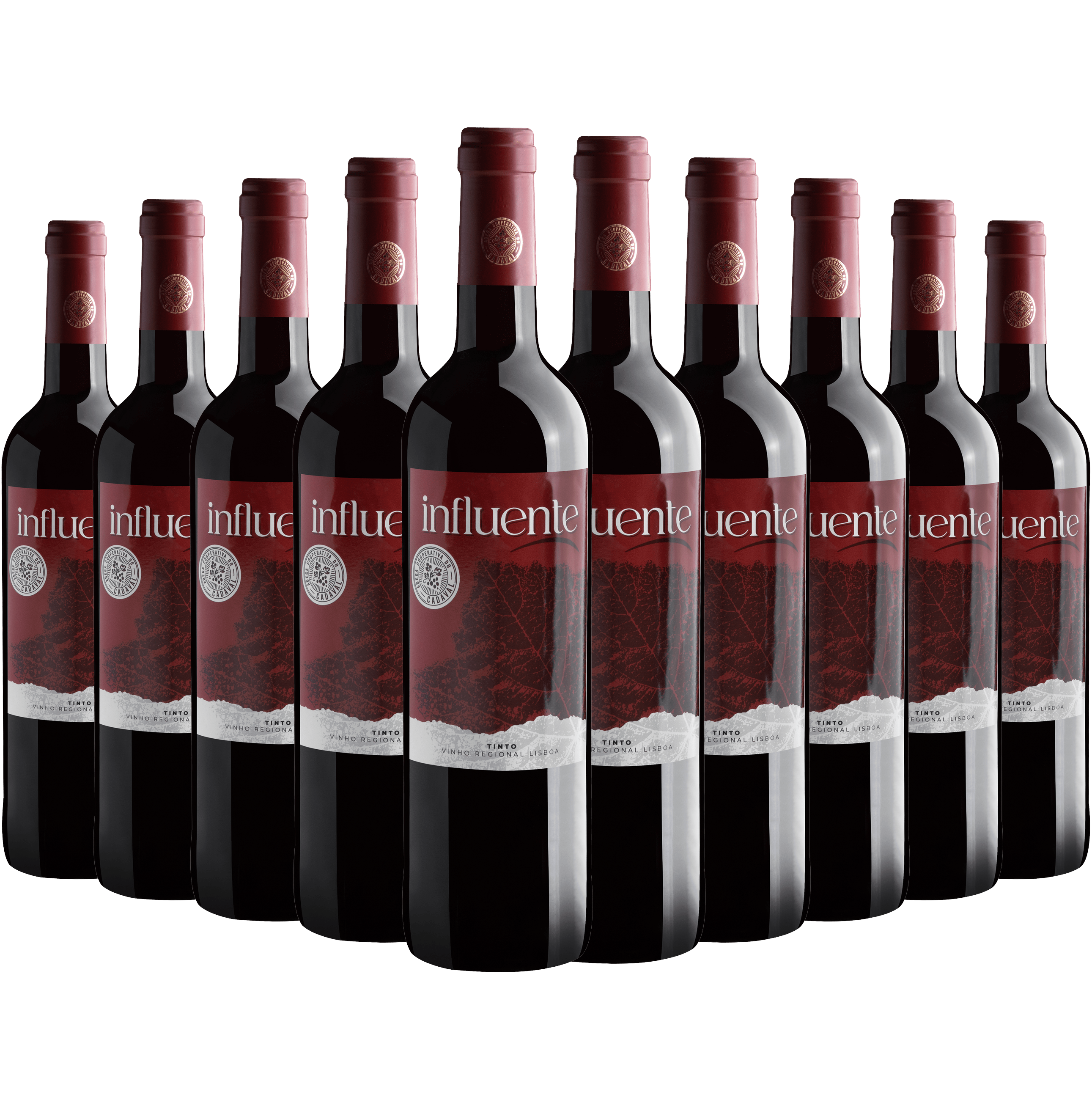 Kit 10 Influente Tinto Vinho Regional Lisboa*