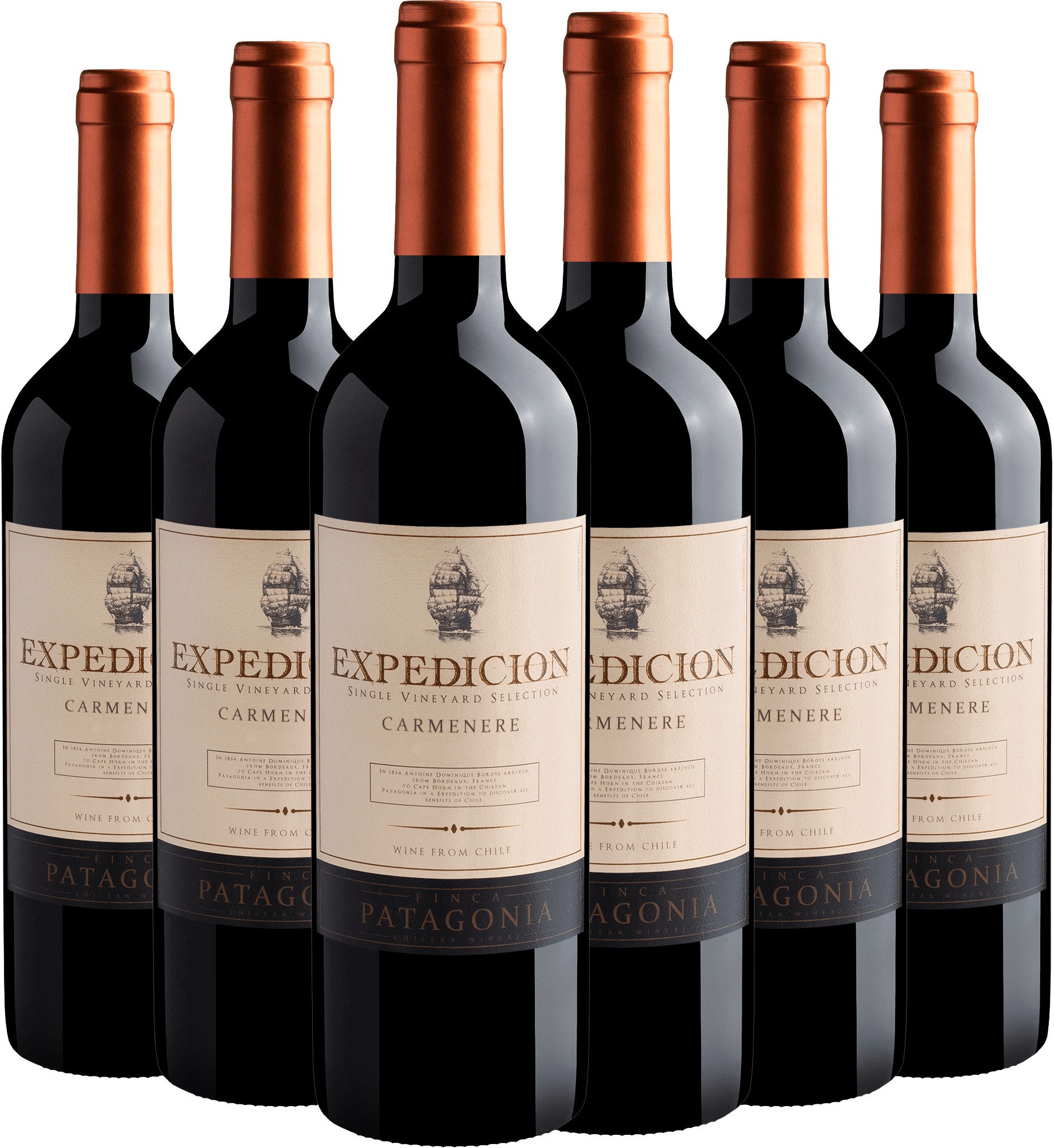 Kit 6 Finca Patagonia Expedicion Single Vineyard Selection Carménère