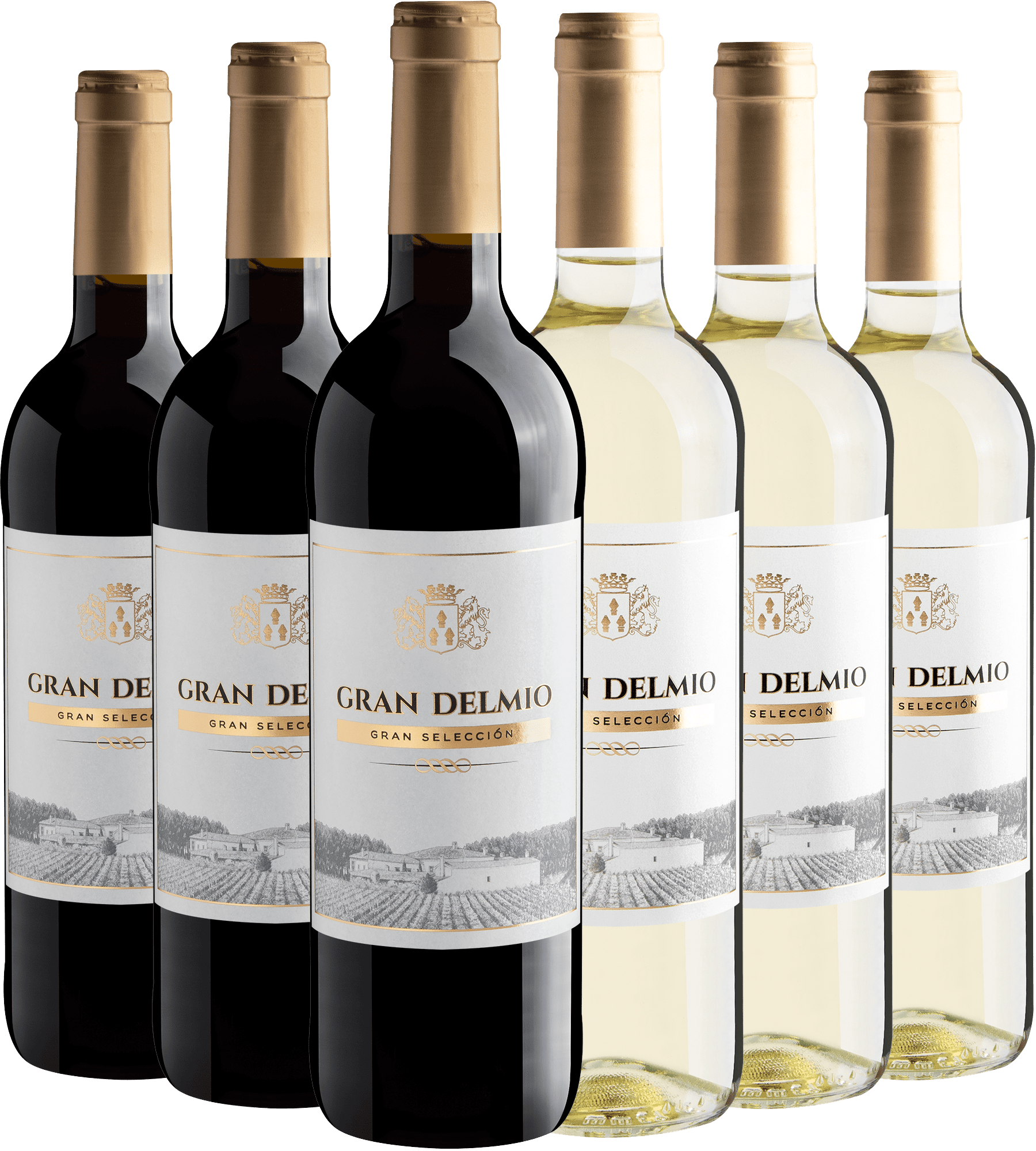 Kit Gran Delmio Gran Selección | 3 Tinto + 3 Blanco