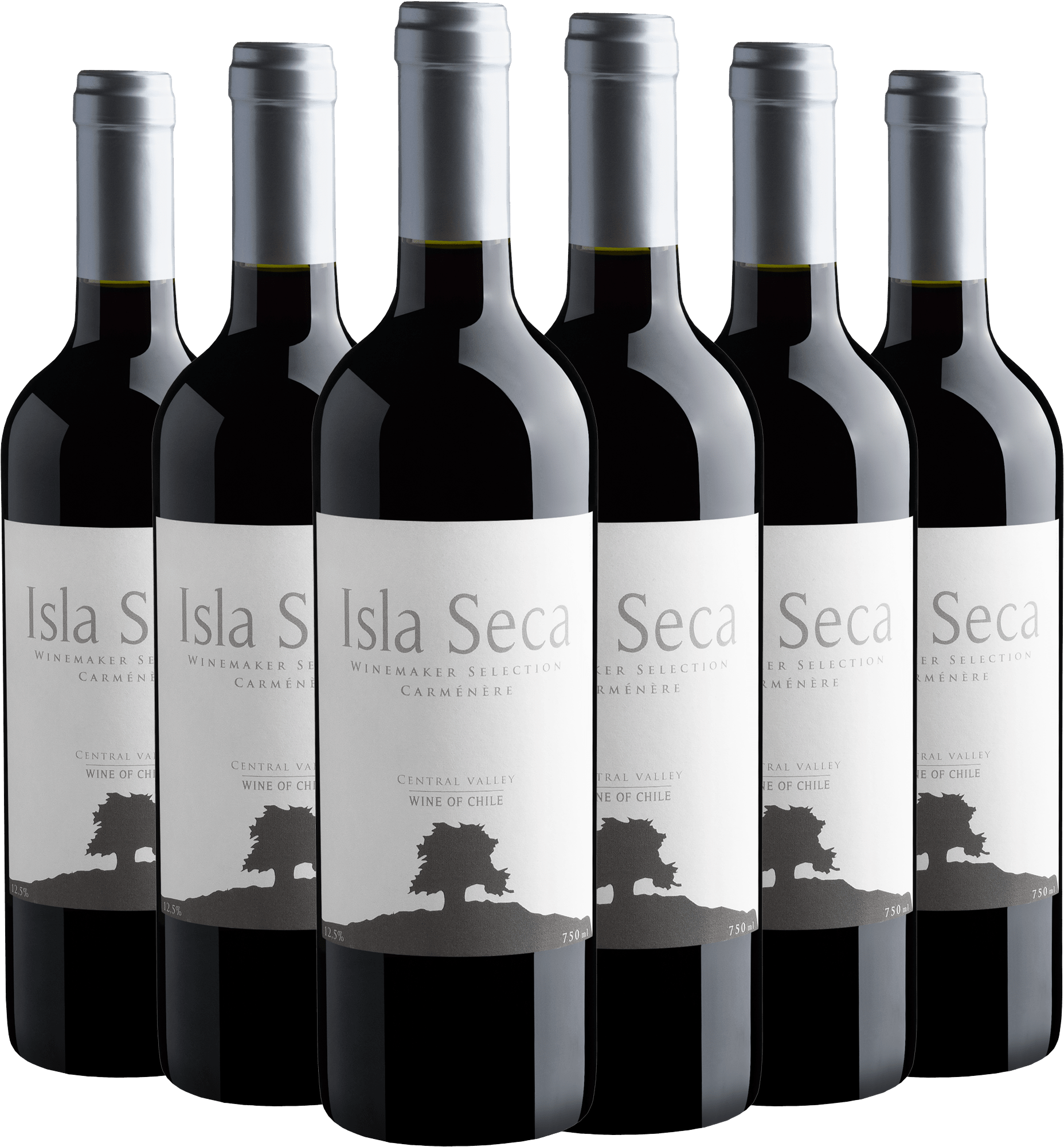 Kit 6 Isla Seca Winemaker Selection Carménère Central Valley D.O.