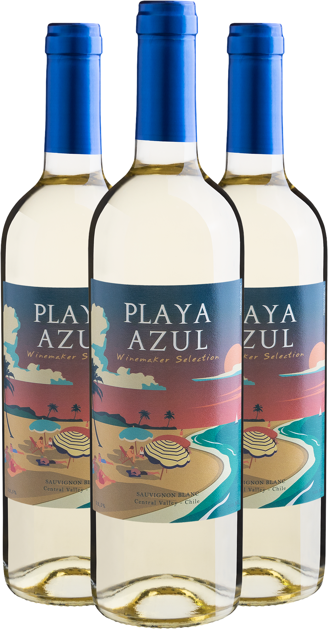 Kit 3 Playa Azul Winemaker Selection Sauvignon Blanc Central Valley D.O.
