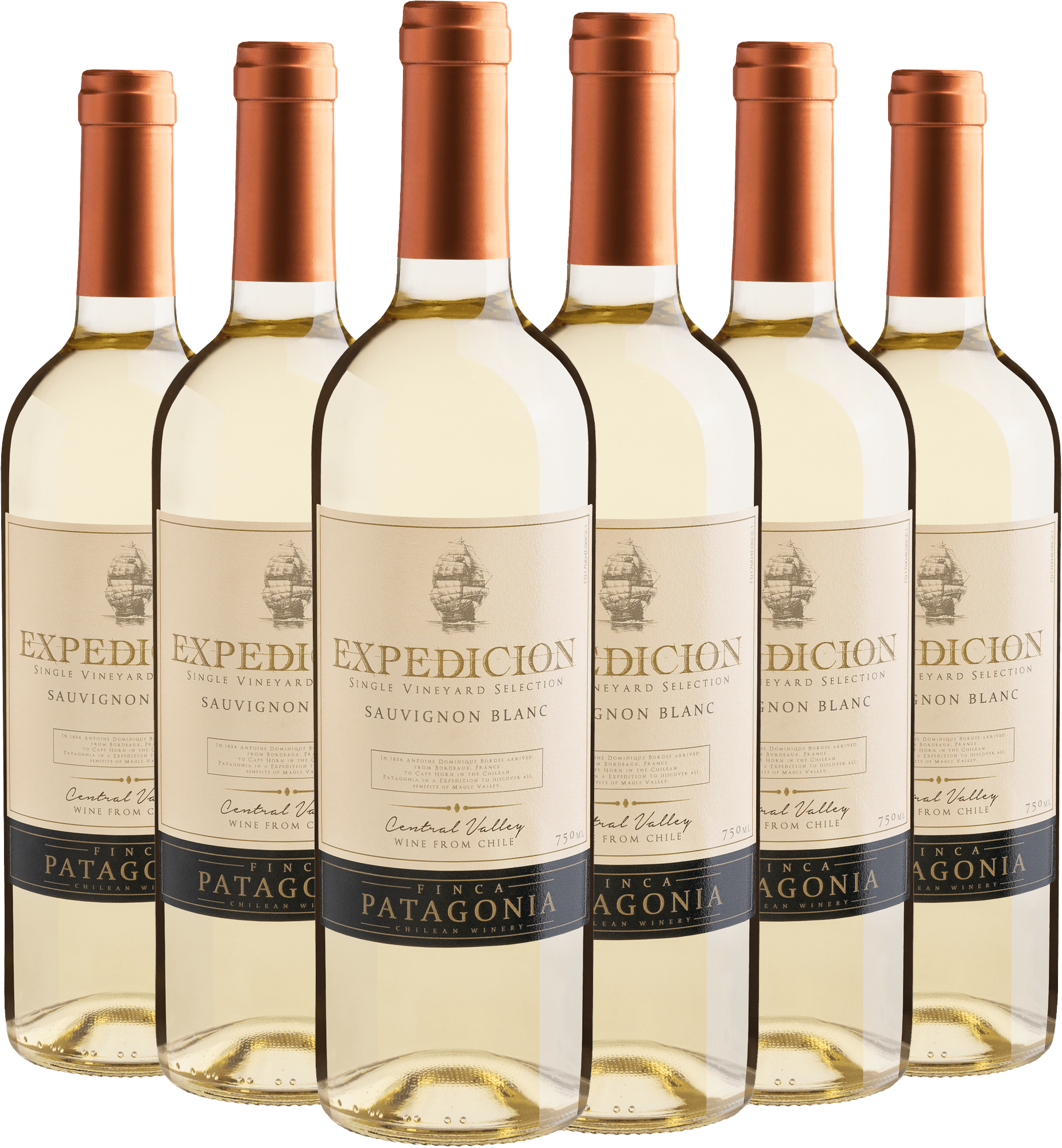 Kit 6 Finca Patagonia Expedicion Single Vineyard Selection Sauvignon Blanc Central Valley D.O.