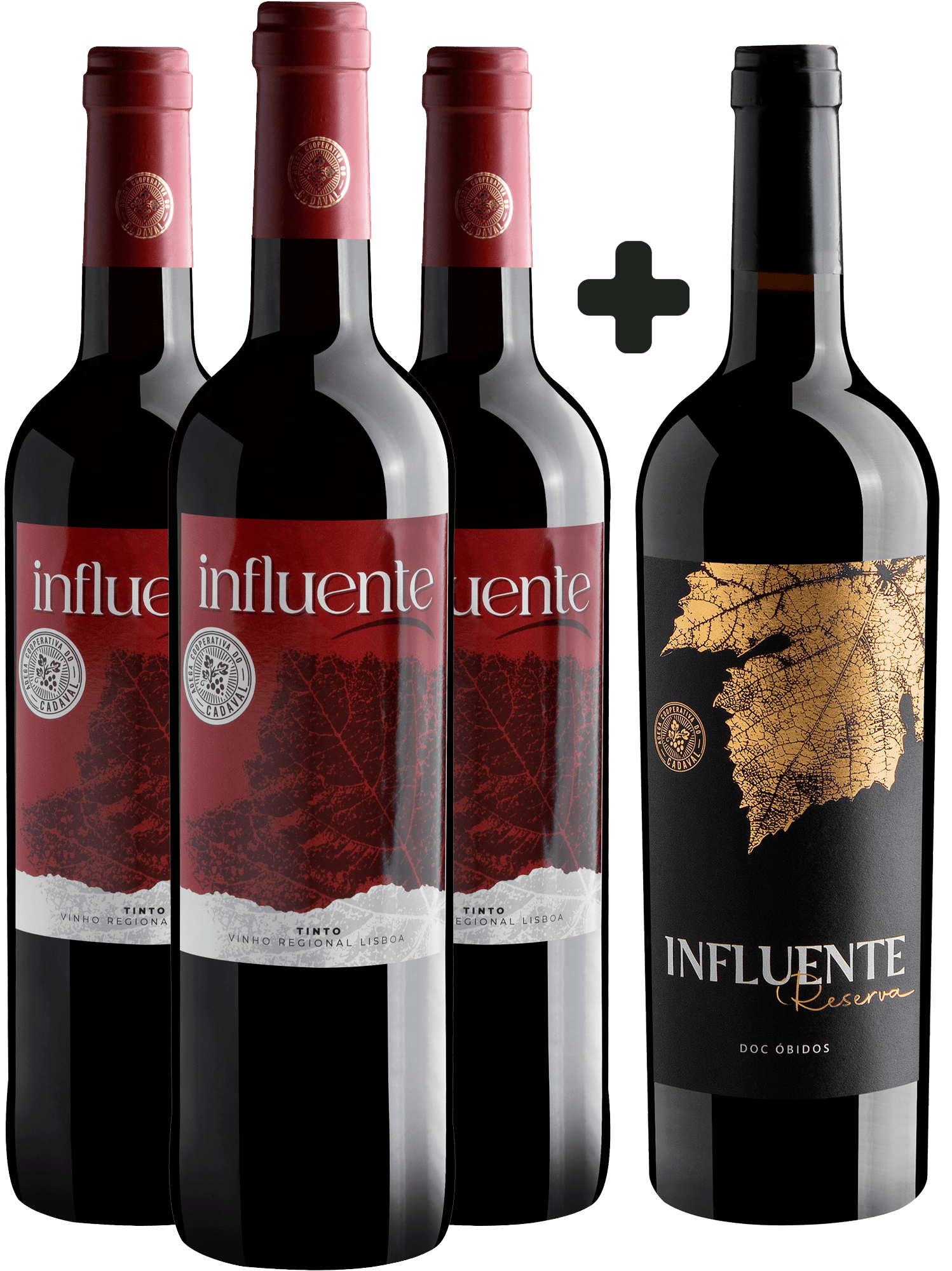 Kit Influente: 3 Tinto + 1 Tinto Reserva por R$46,15 cada garrafa