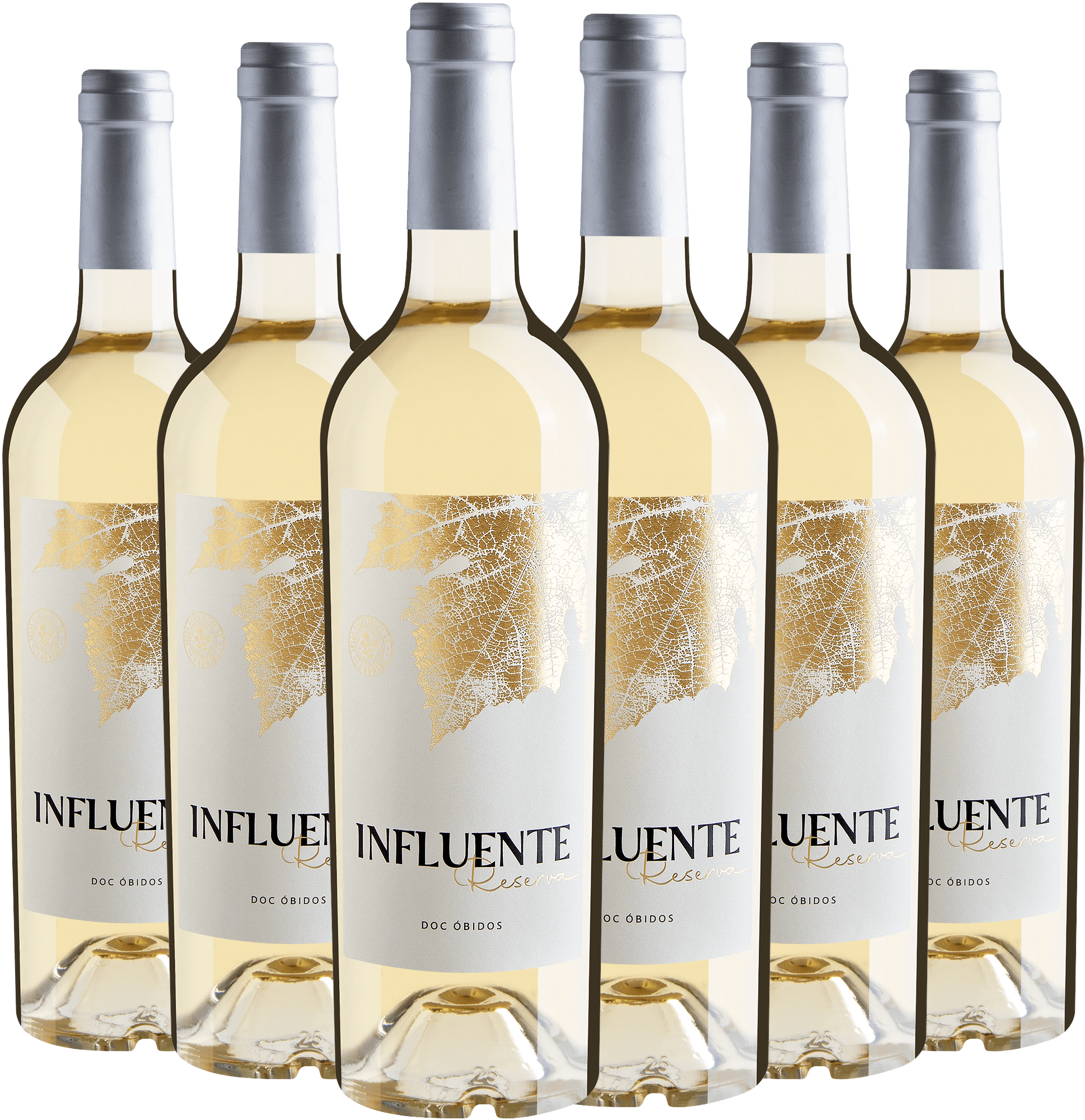 Kit 6 Influente Reserva Branco Óbidos