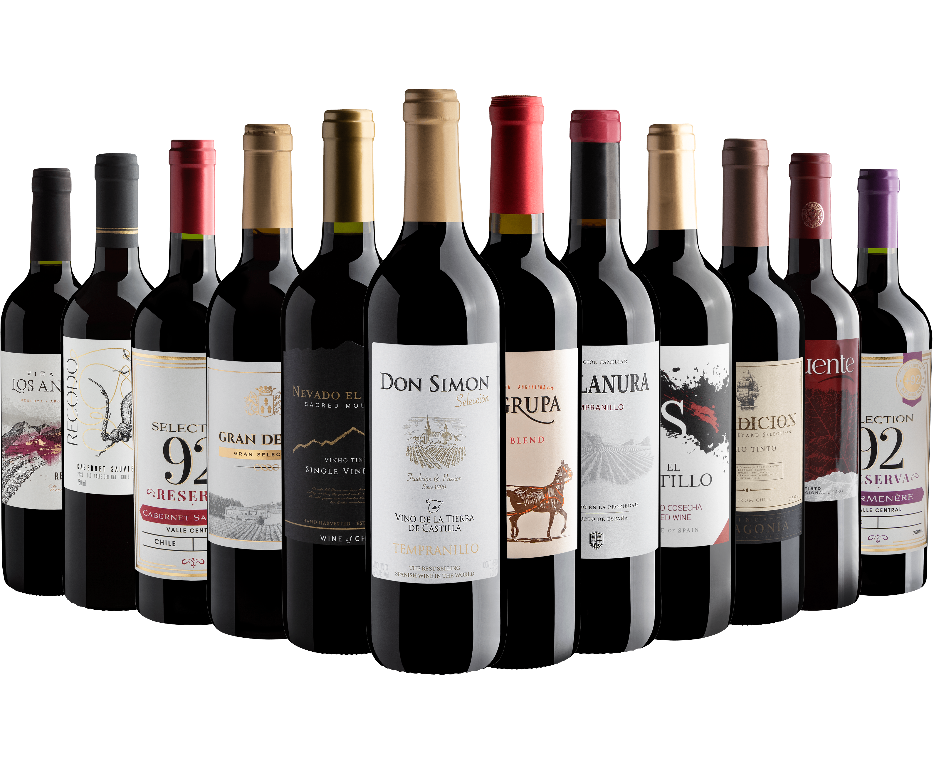 Kit 12 Vinhos Tintos por R$24,90 cada garrafa* + Frete Grátis**