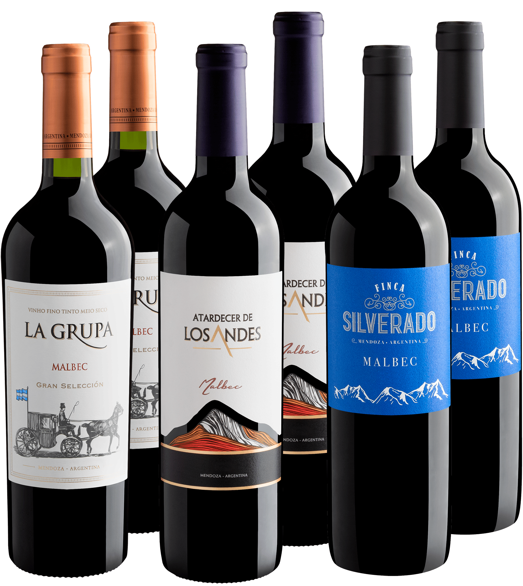 Kit Malbecs em Dobro | 6 garrafas