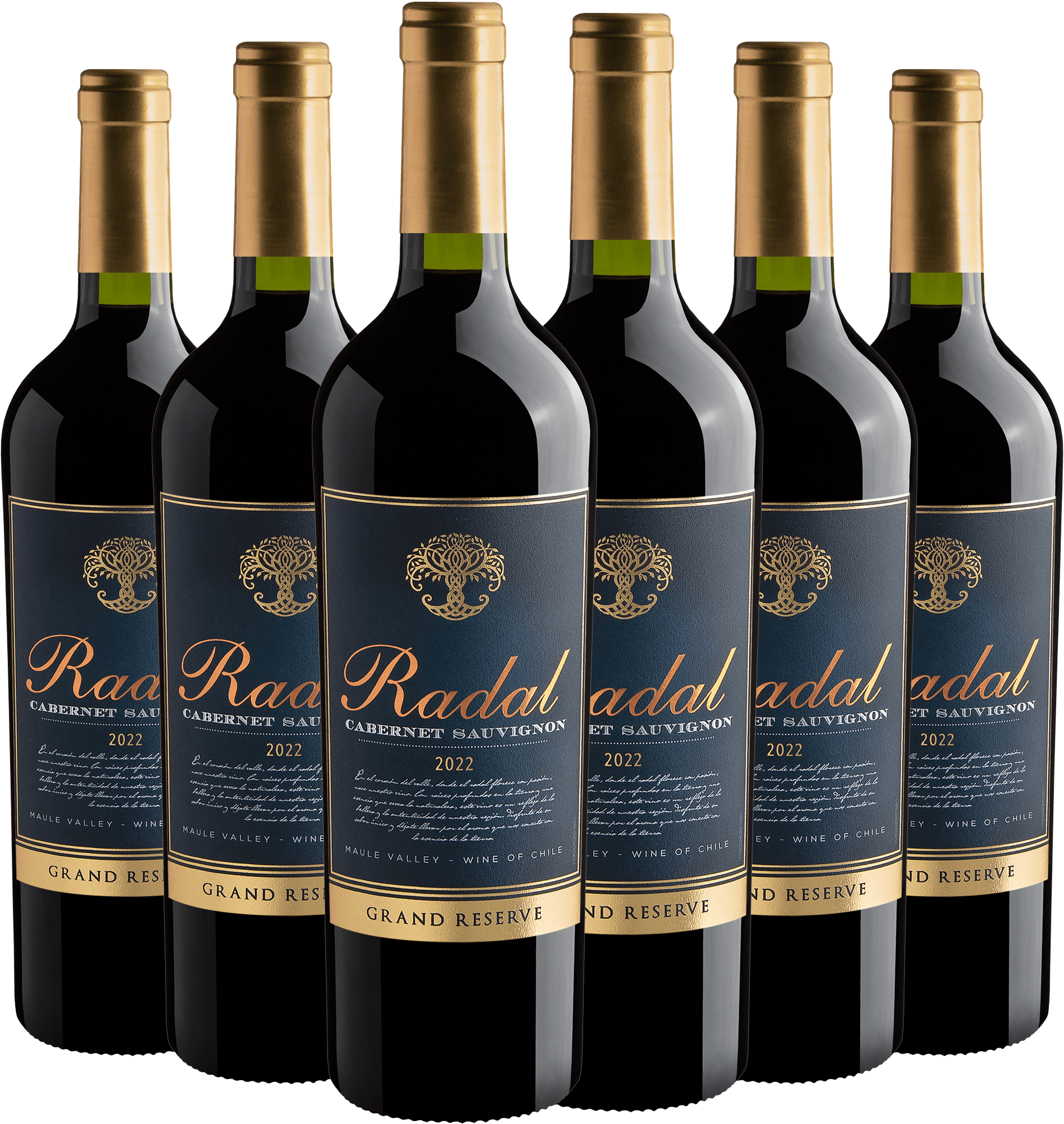 Kit 6 Radal Grand Reserve Cabernet Sauvignon