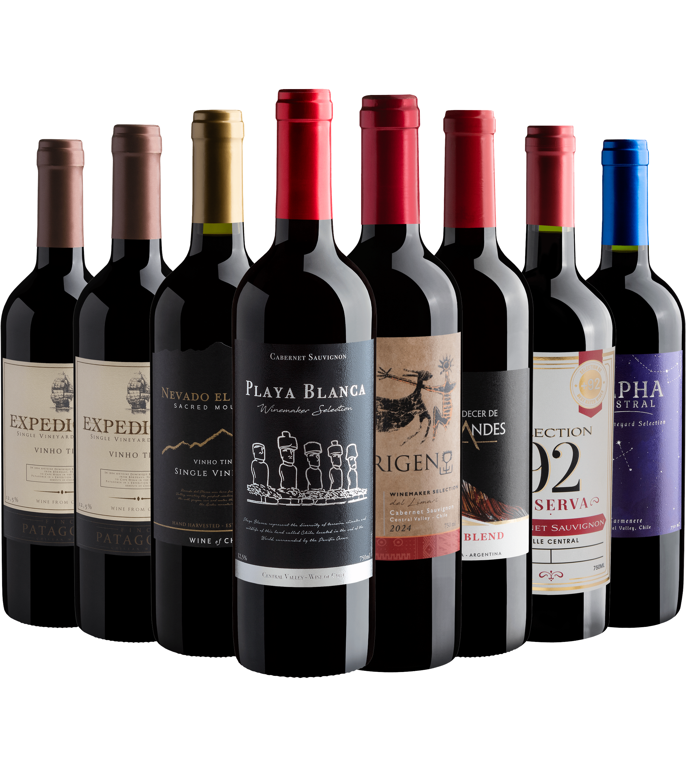 Kit 8 Vinhos do Novo Mundo