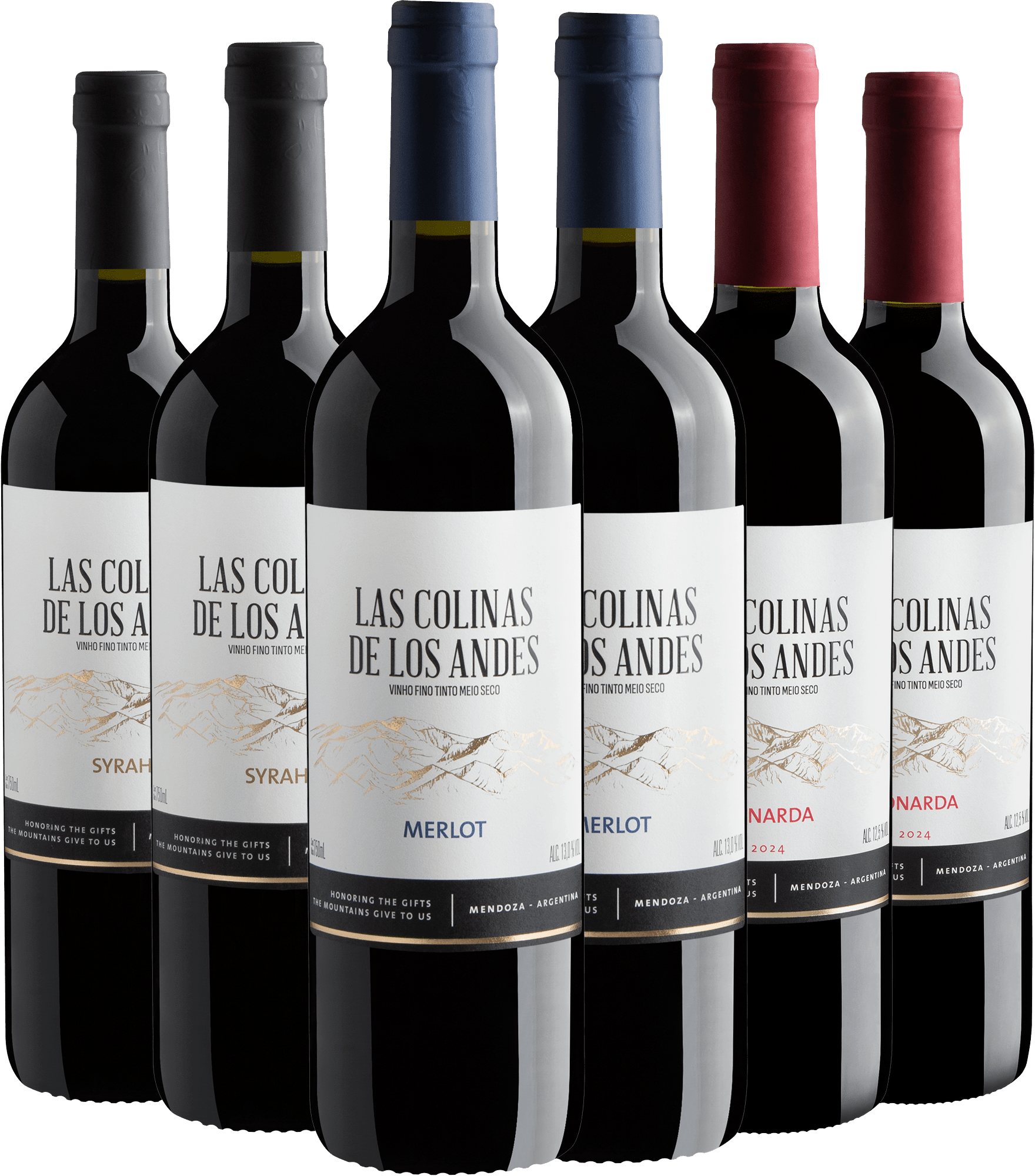 Kit Las Colinas: 2 Merlot + 2 Syrah + 2 Bonarda