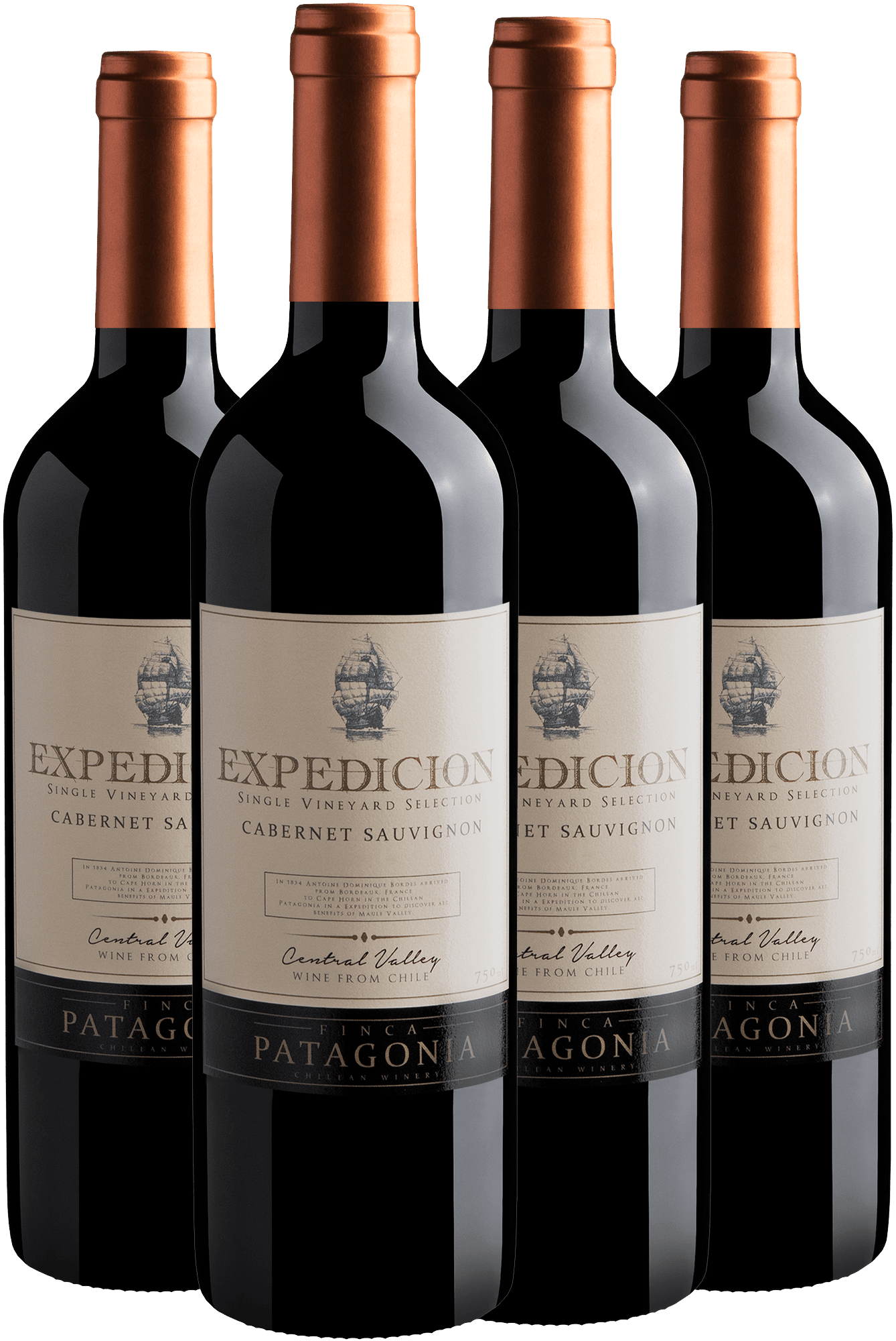 Kit 4 Finca Patagonia Expedicion Single Vineyard Selection Cabernet Sauvignon