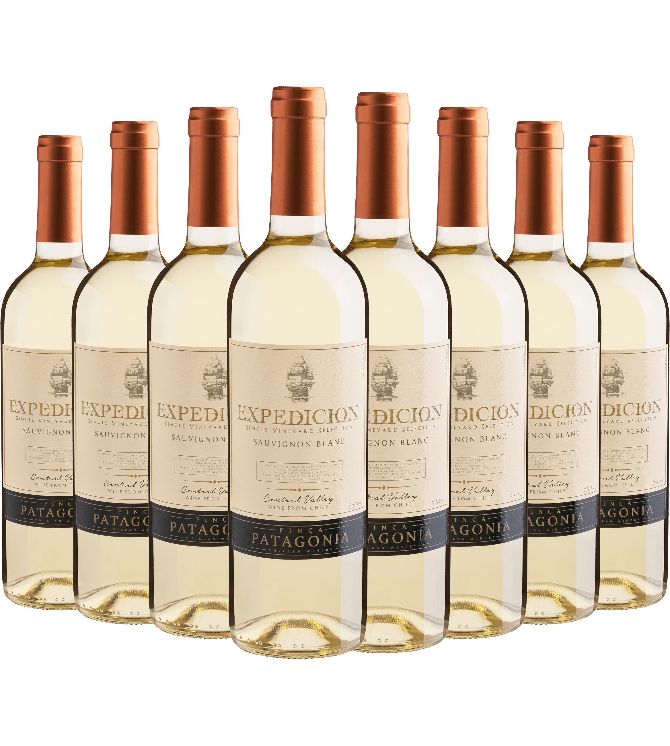 Kit 8 Finca Patagonia Expedicion Single Vineyard Selection Sauvignon Blanc