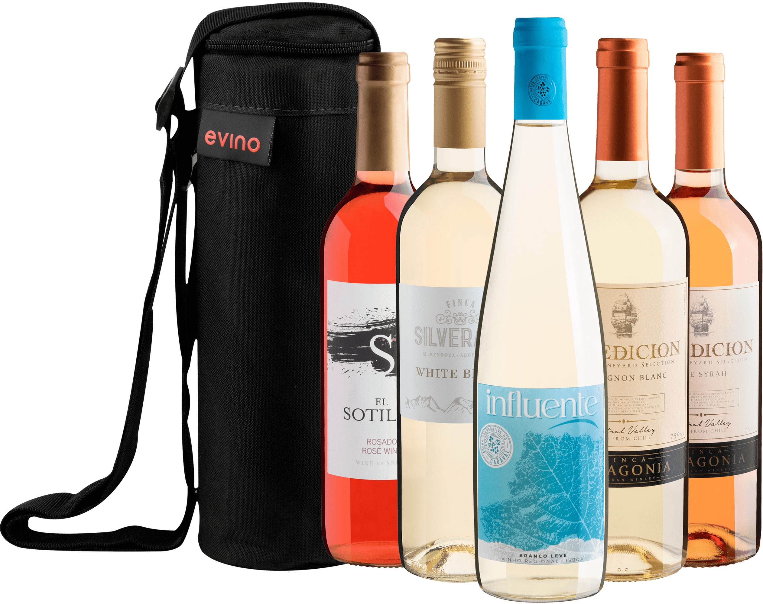 Kit 5 Vinhos Refrescantes + Bolsa Exclusiva