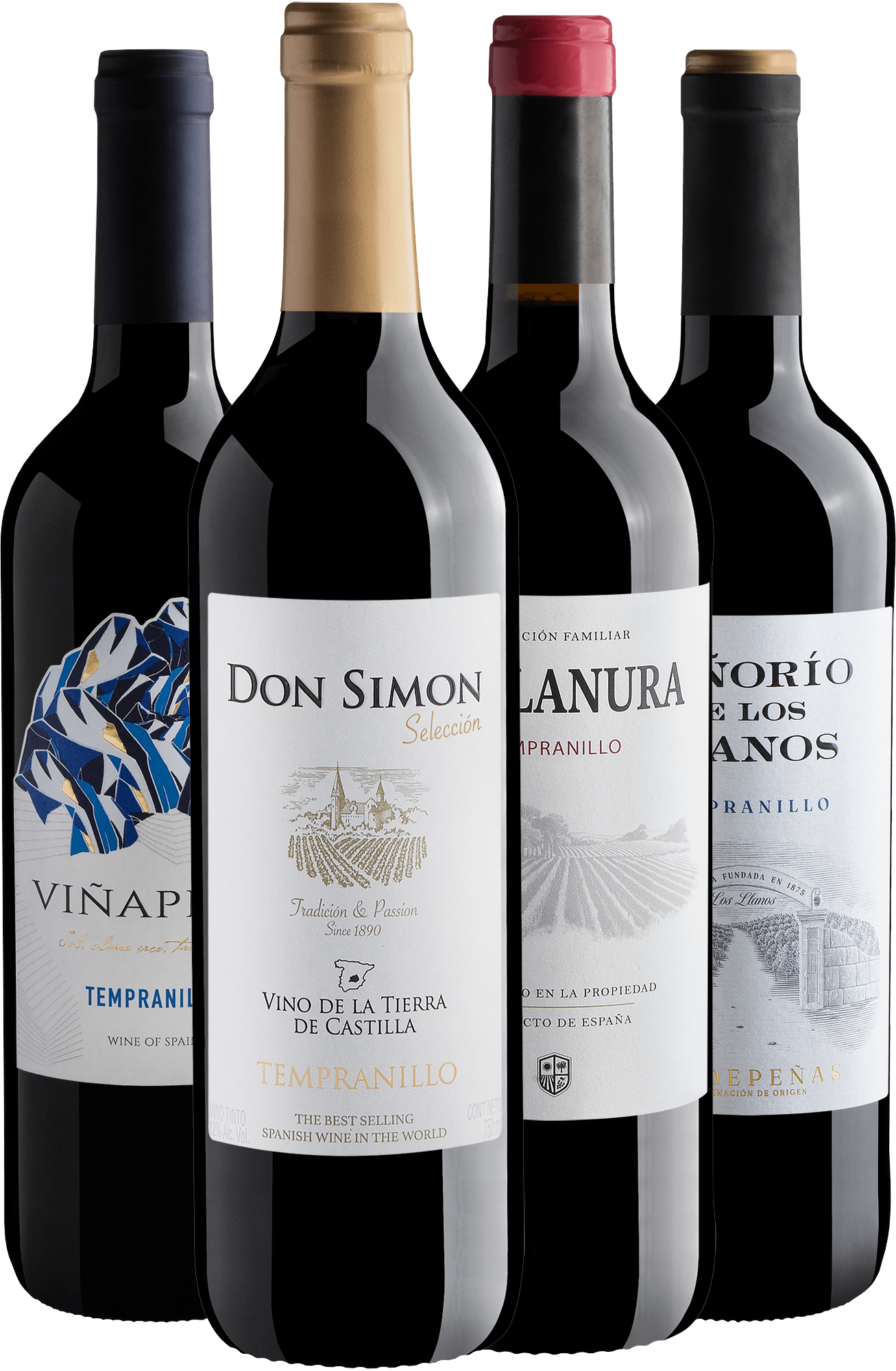 Kit 4 Tempranillos Espanhóis