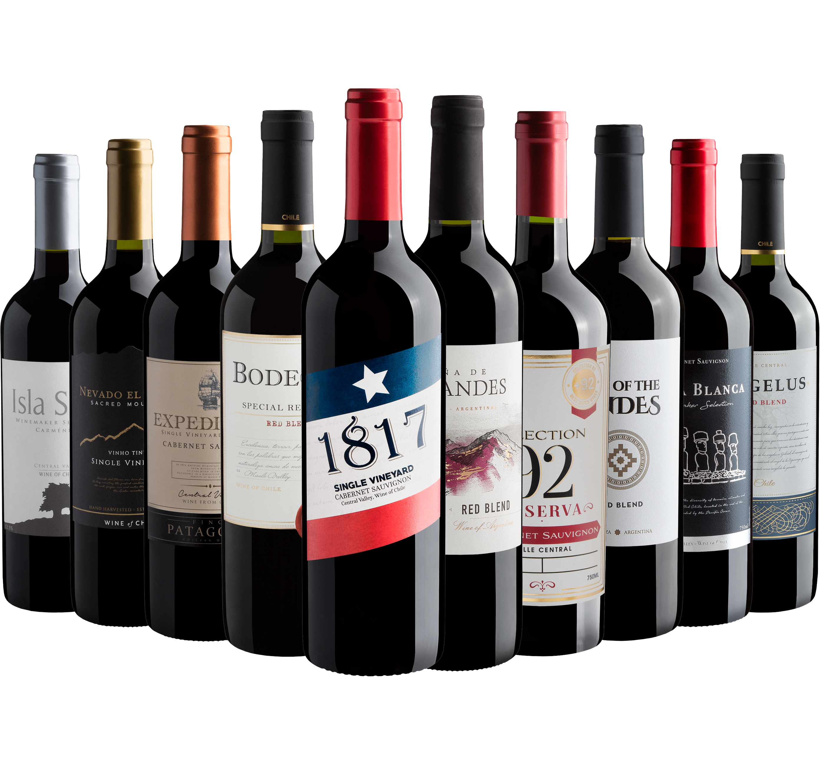 Kit 10 Vinhos do Novo Mundo*