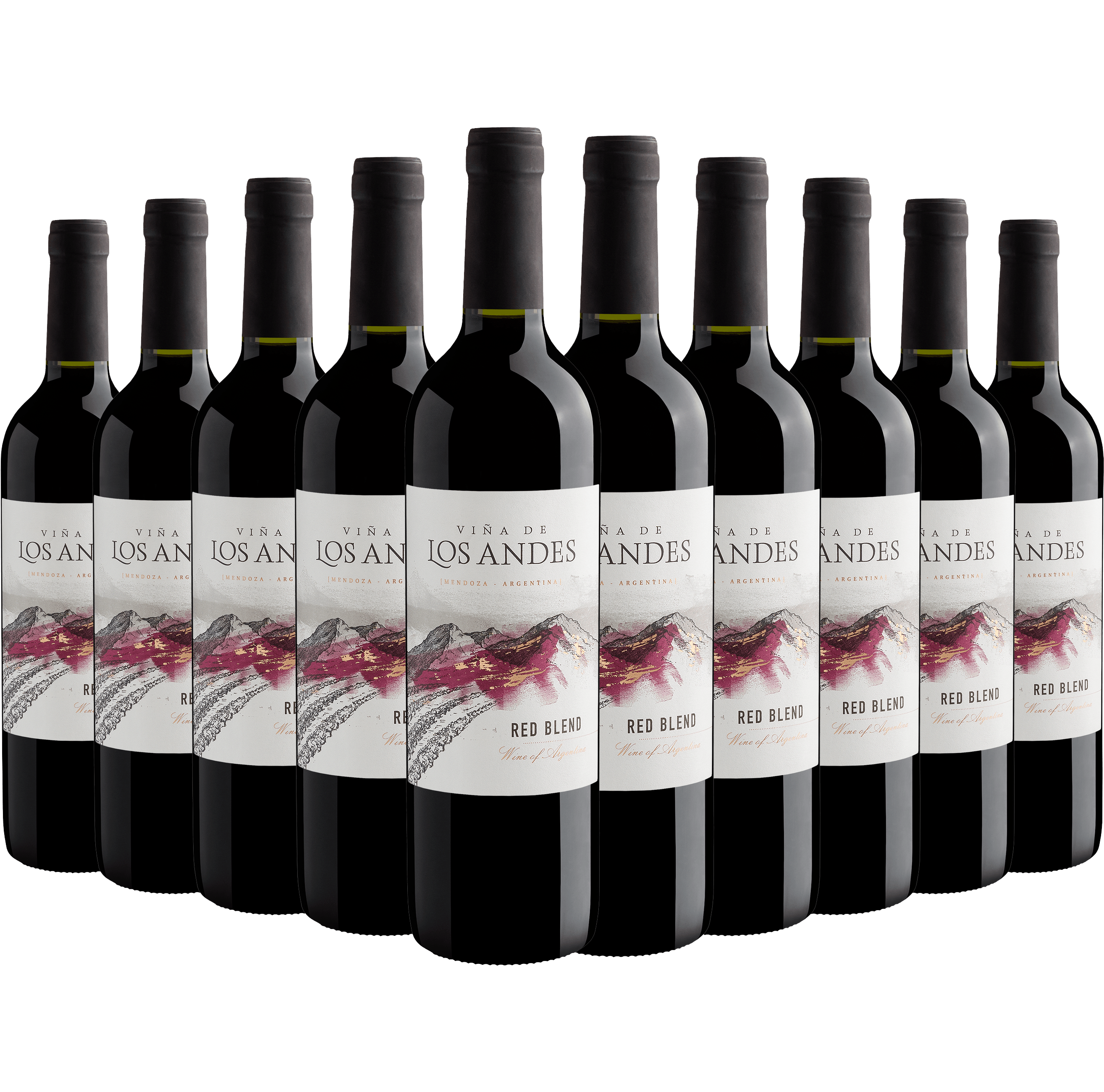 Kit 10 Viña de Los Andes Red Blend*