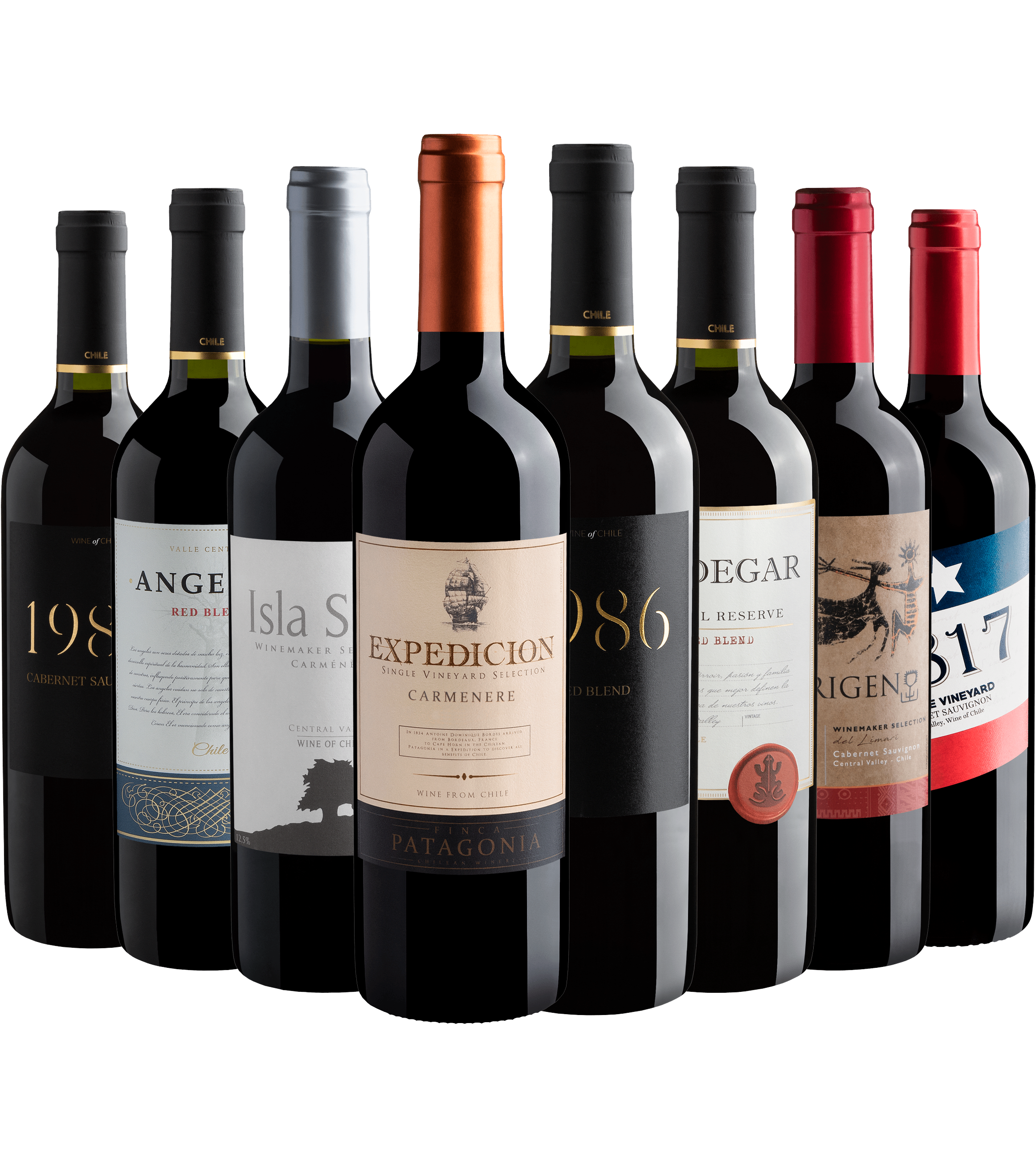 Kit 8 Vinhos Tintos do Chile