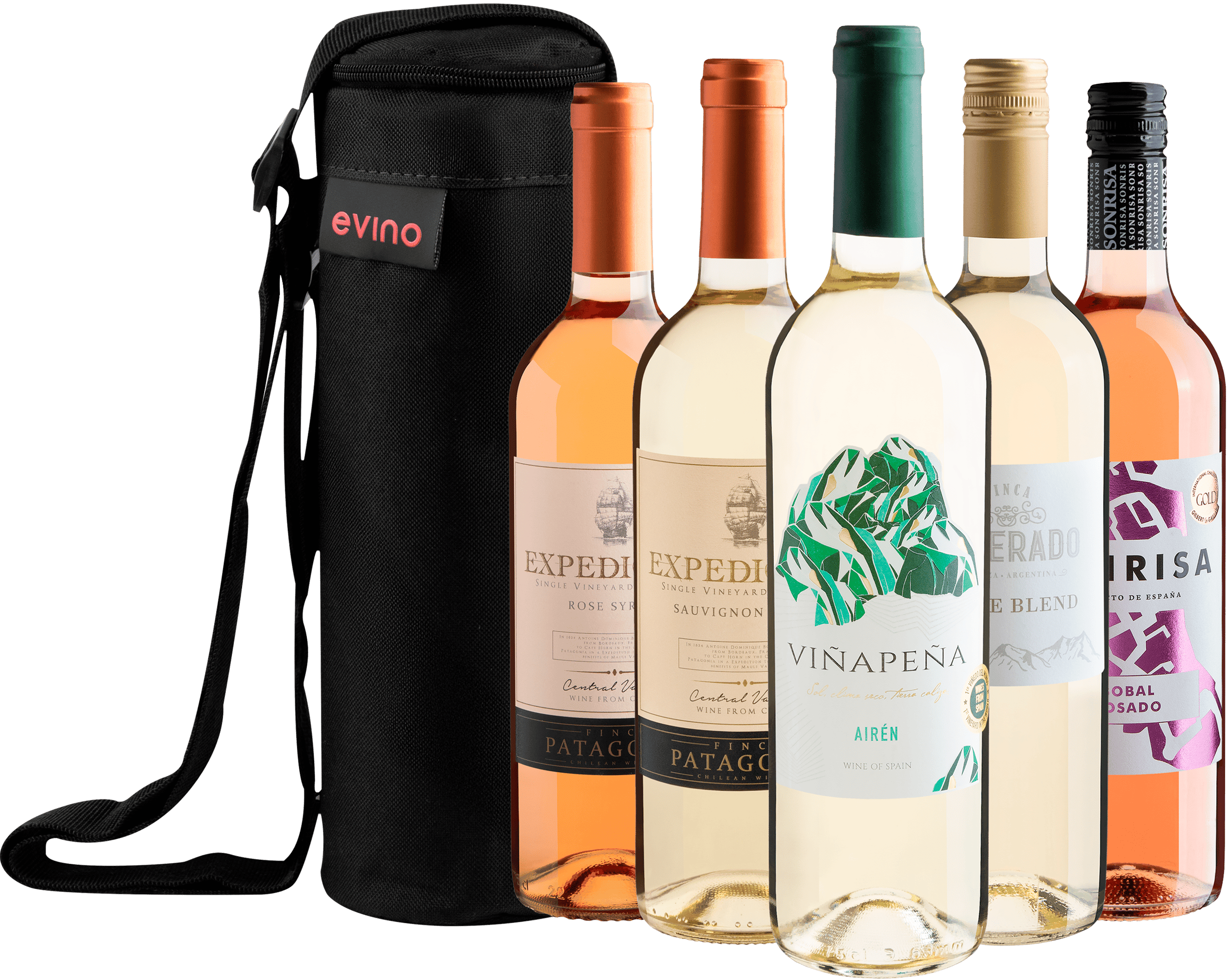 Kit 5 Vinhos Refrescantes + Bolsa Exclusiva