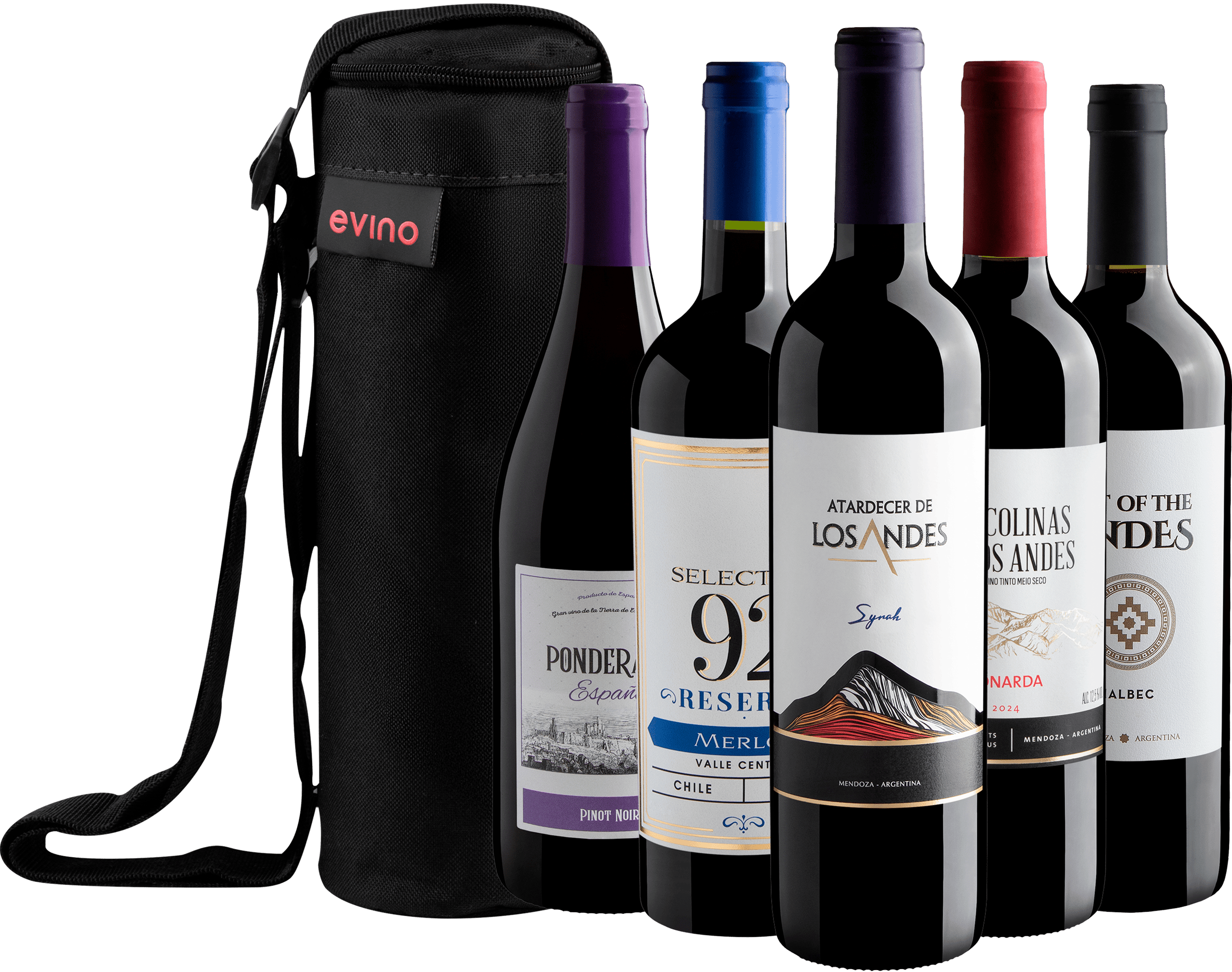 Kit 5 Vinhos Uvas Emblemáticas + Bolsa Exclusiva