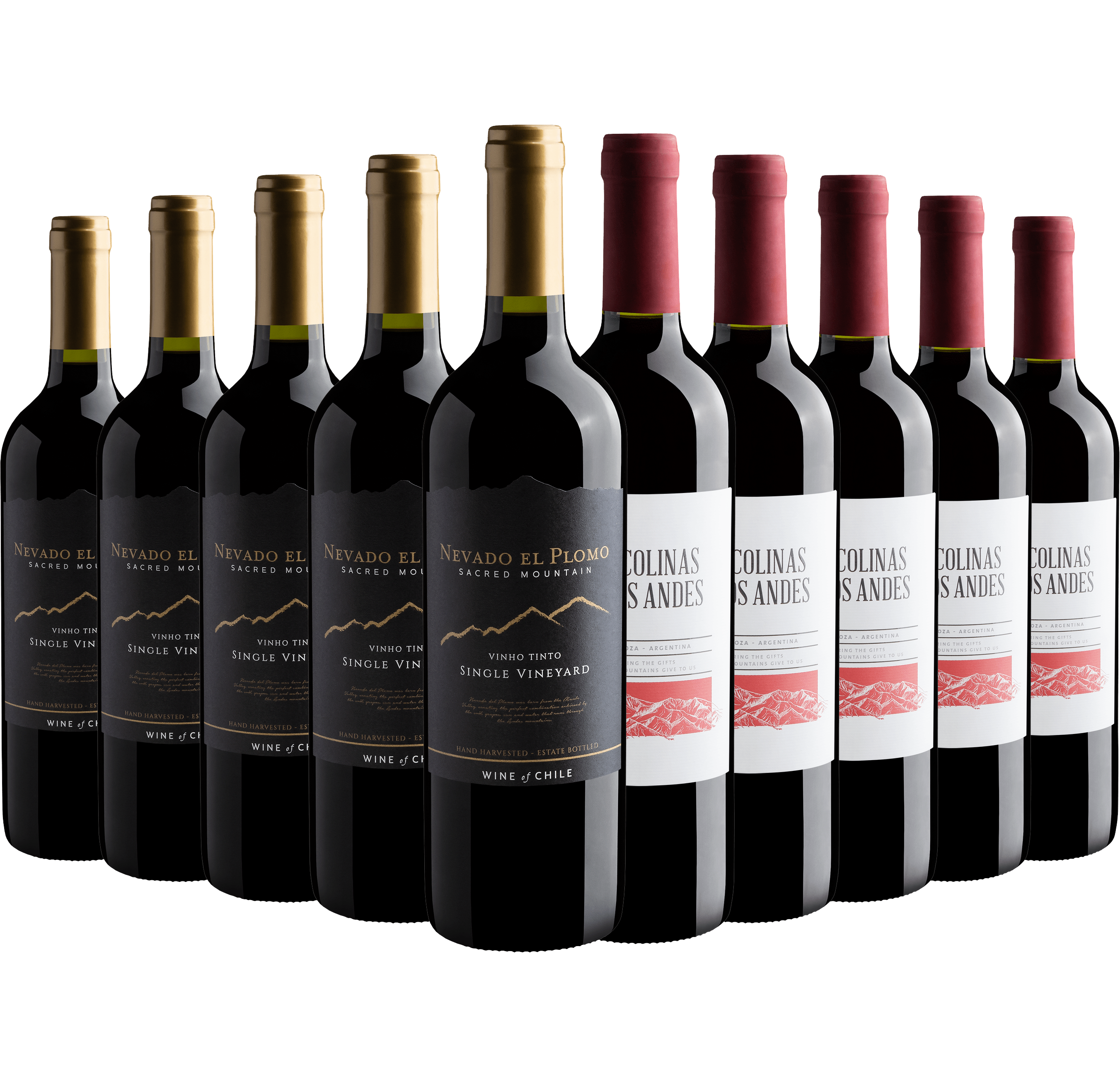 Kit 5 Nevado El Plomo + 5 Las Colinas Red Blend