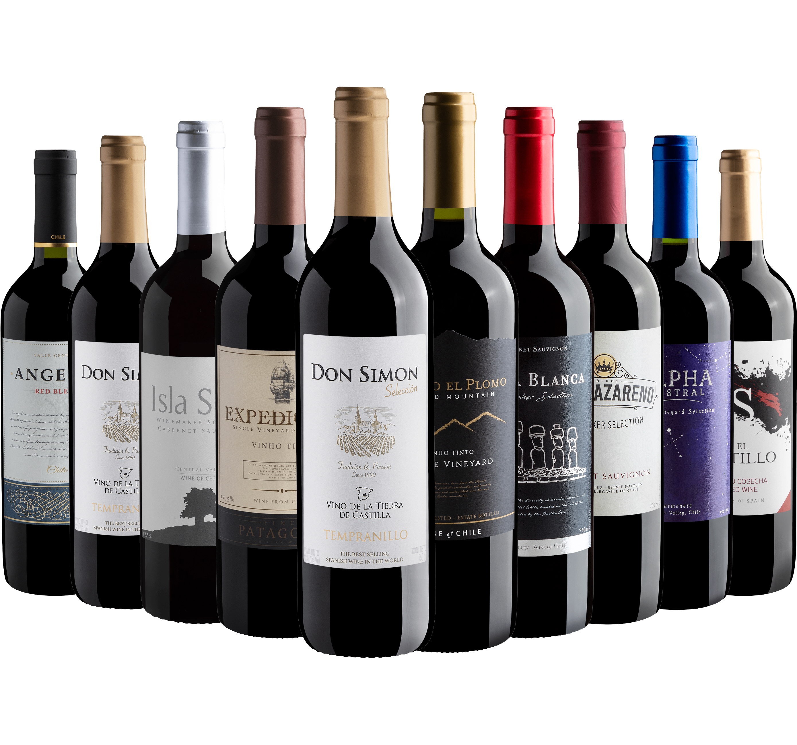 Kit 10 Vinhos Tintos*