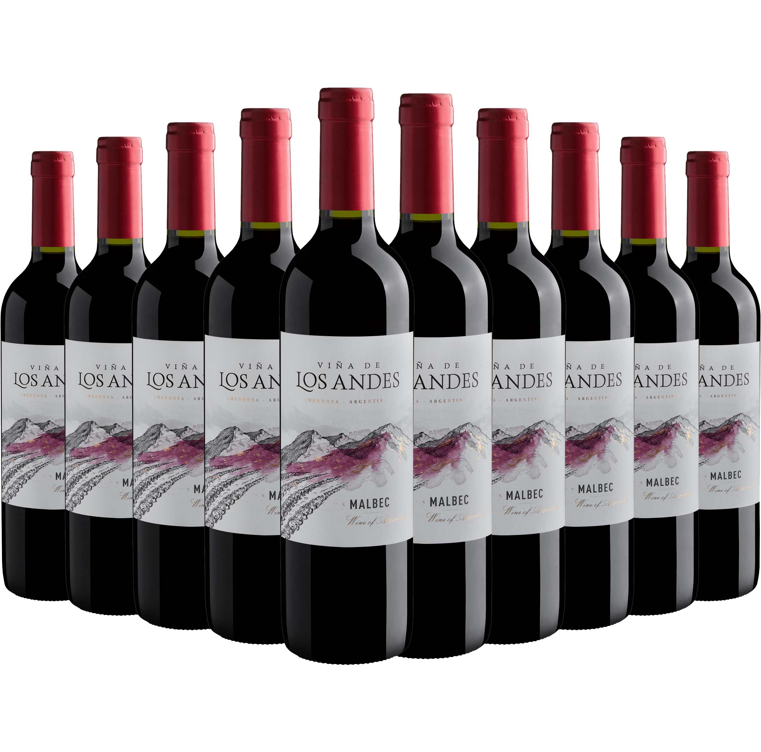 Kit 10 Viña de Los Andes Malbec