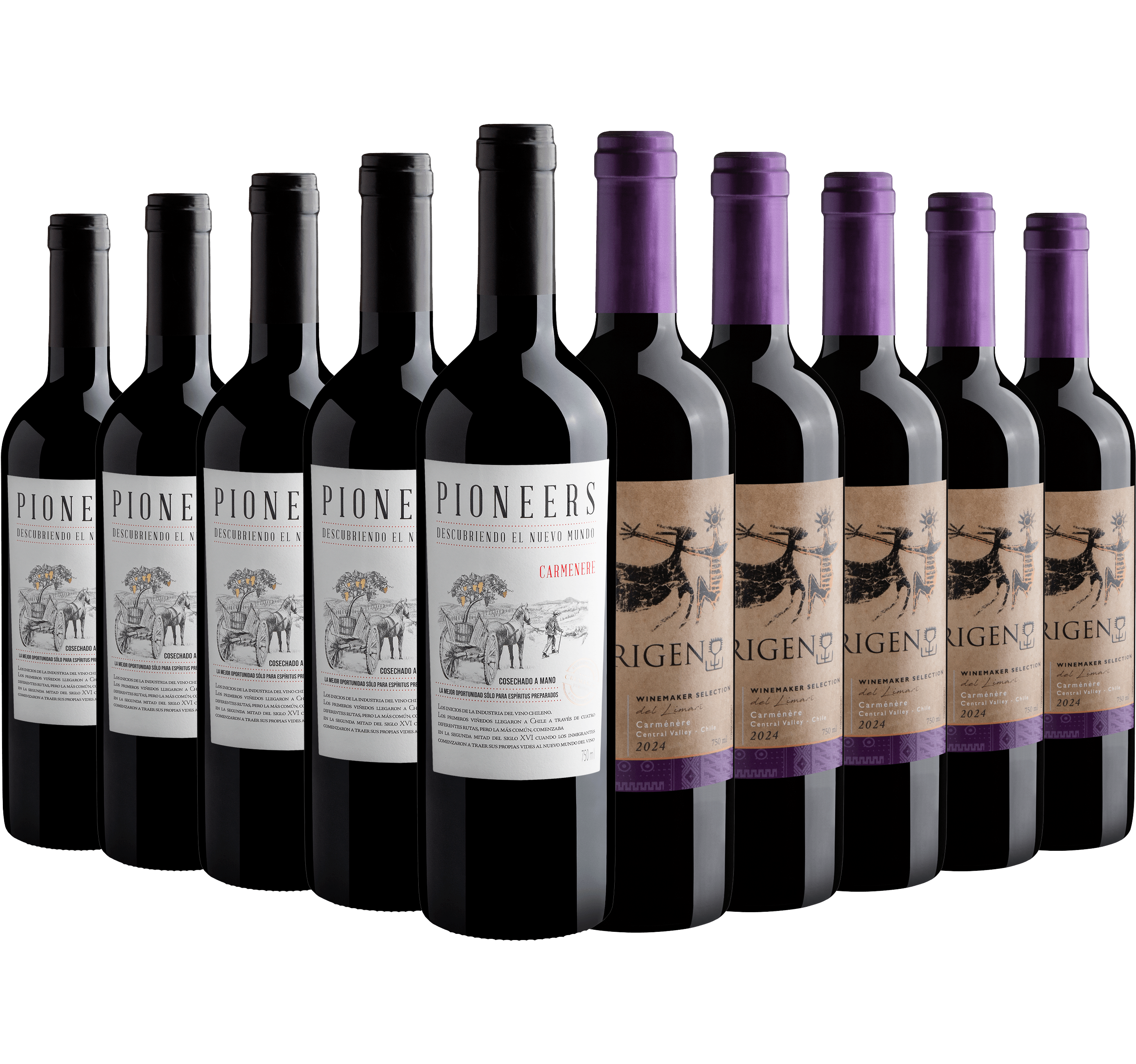 Kit Carménère | 5 Pioneers + 5 El Origen*