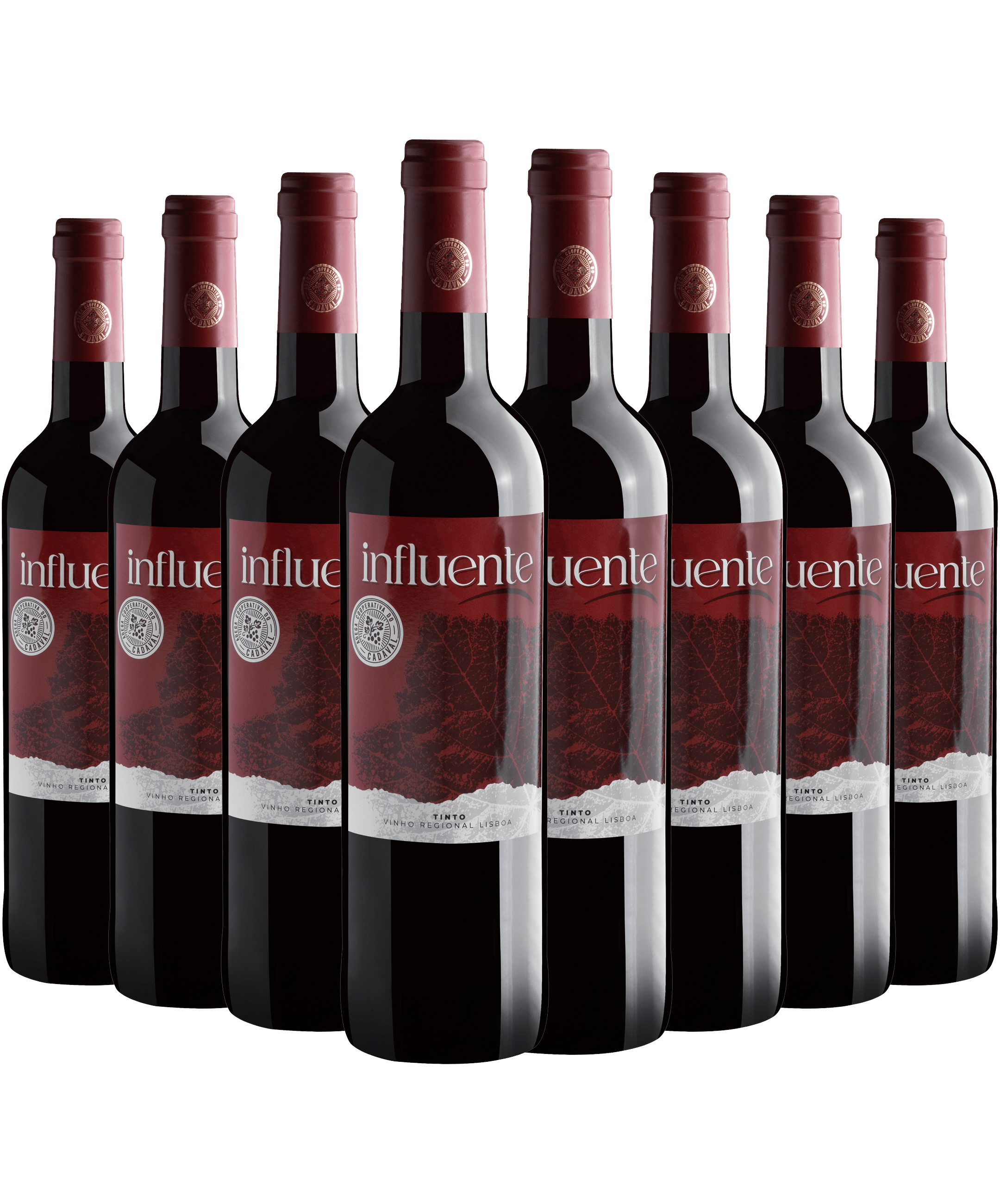 Kit 8 Influente Tinto Vinho Regional Lisboa
