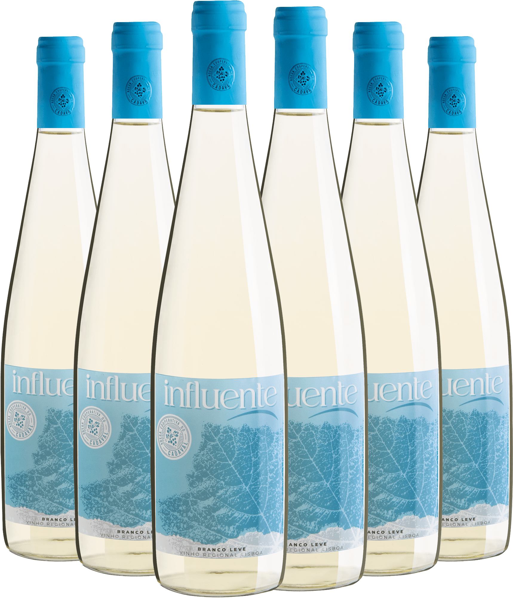 Kit 6 Influente Branco Vinho Regional Lisboa