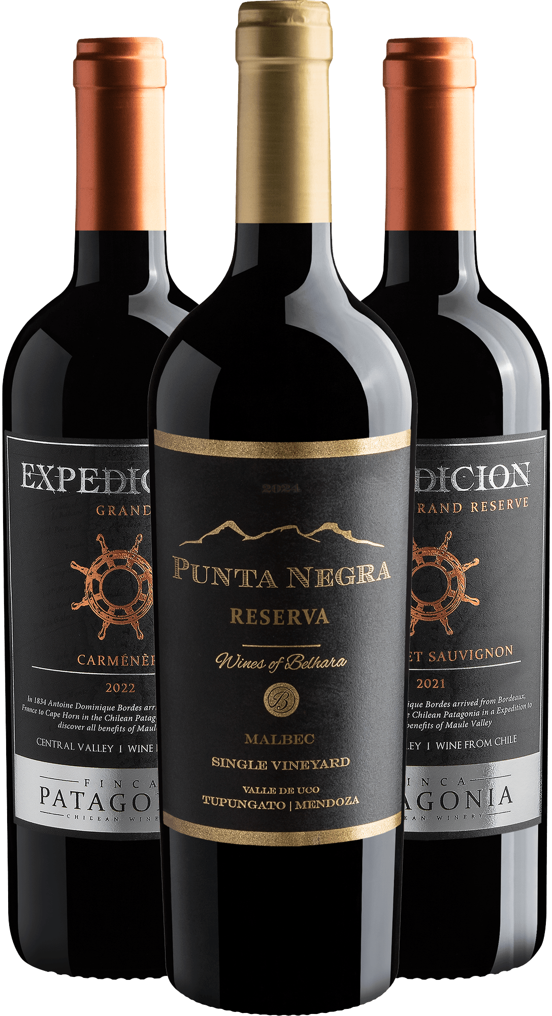 Kit 3 Vinhos Premium do Novo Mundo