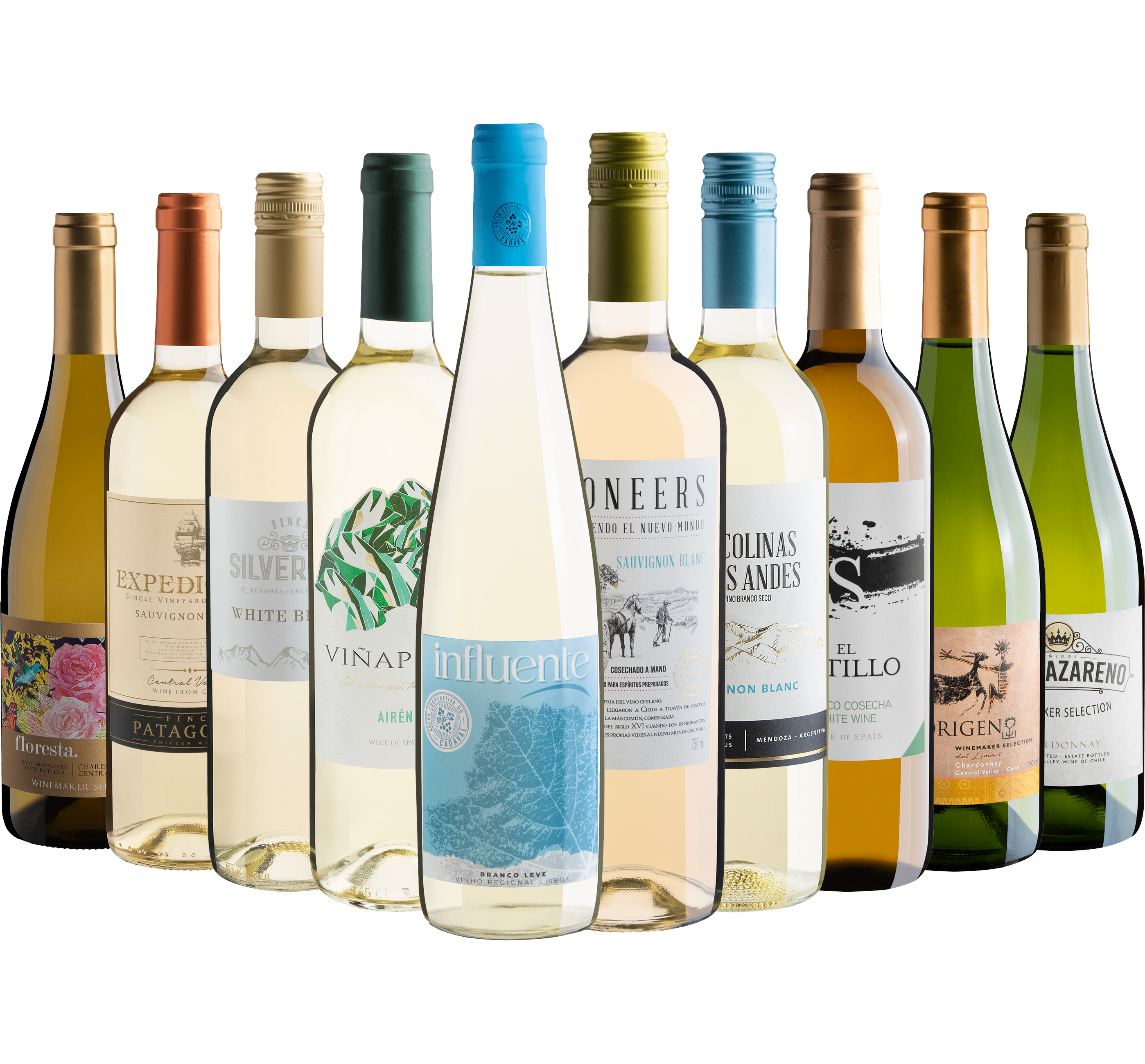 Kit 10 Vinhos Brancos*