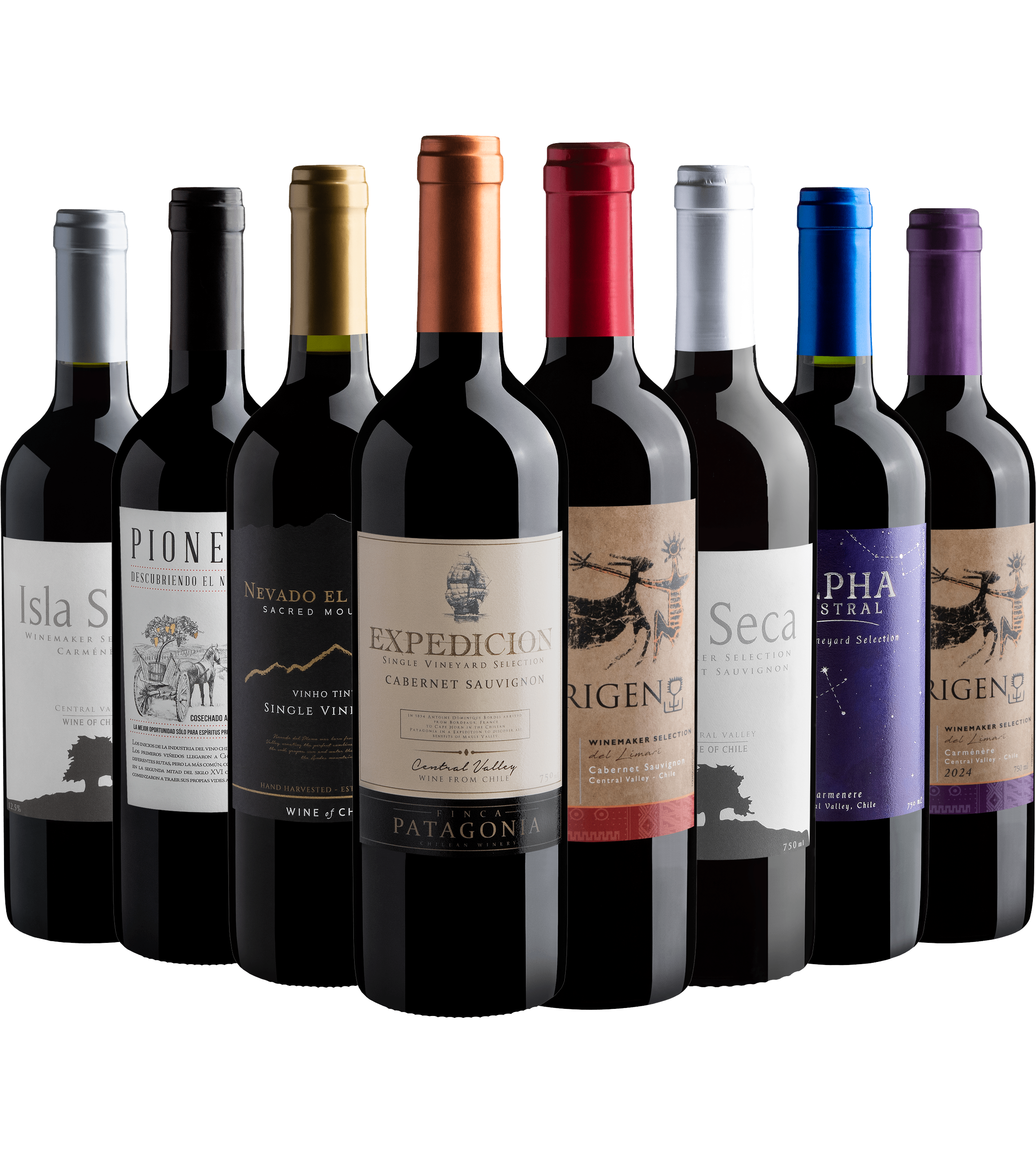Kit 8 Vinhos Chilenos