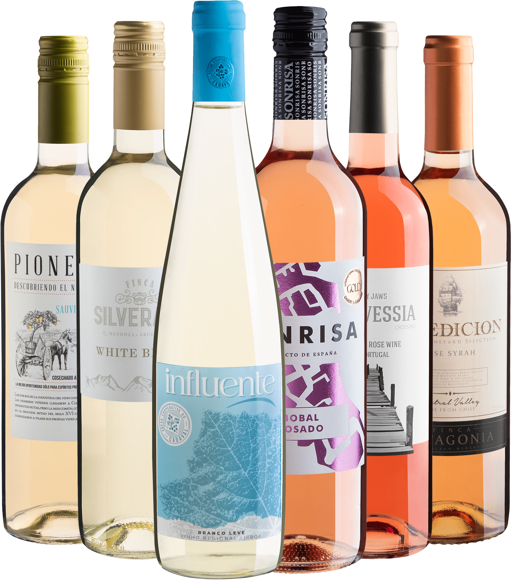 Kit 6 Vinhos Refrescantes