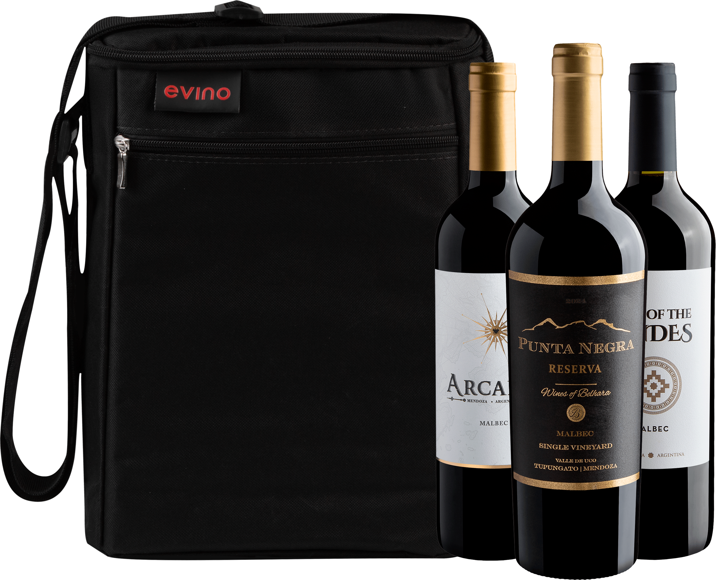 Kit 3 Malbecs + Bolsa Exclusiva