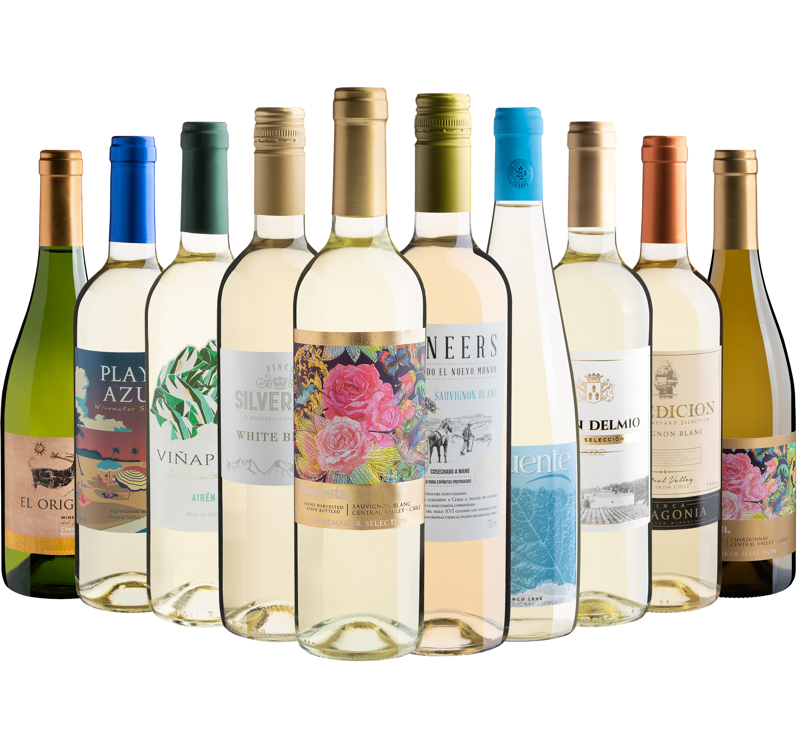 Kit 10 Vinhos Brancos*